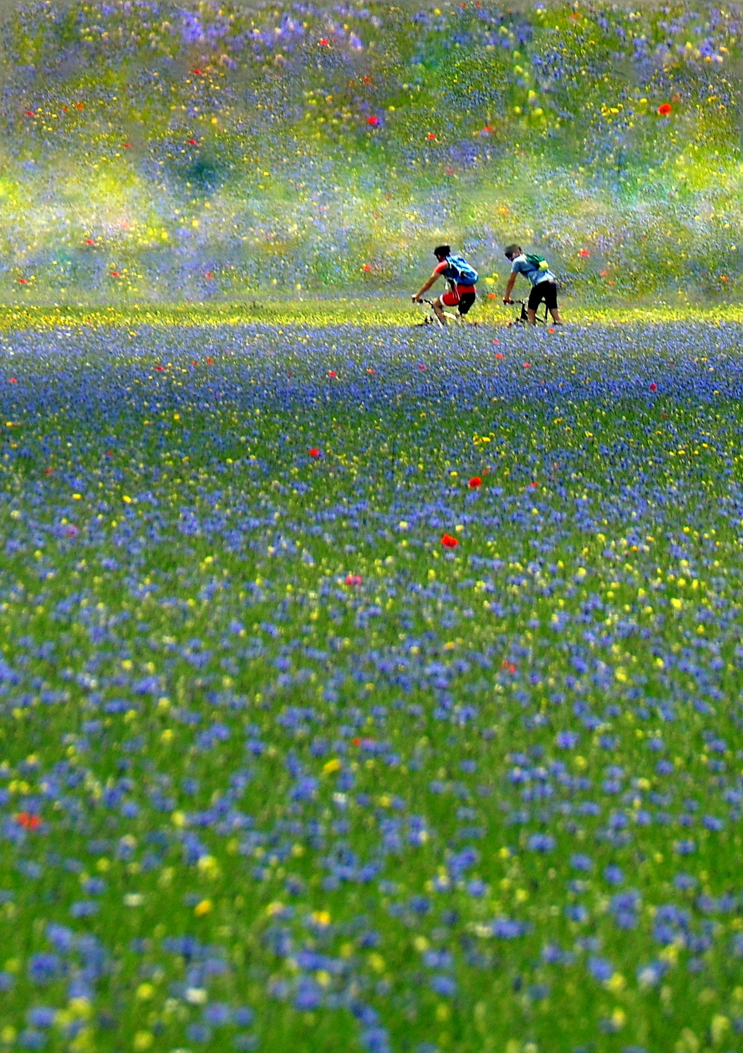 Race to a new summer