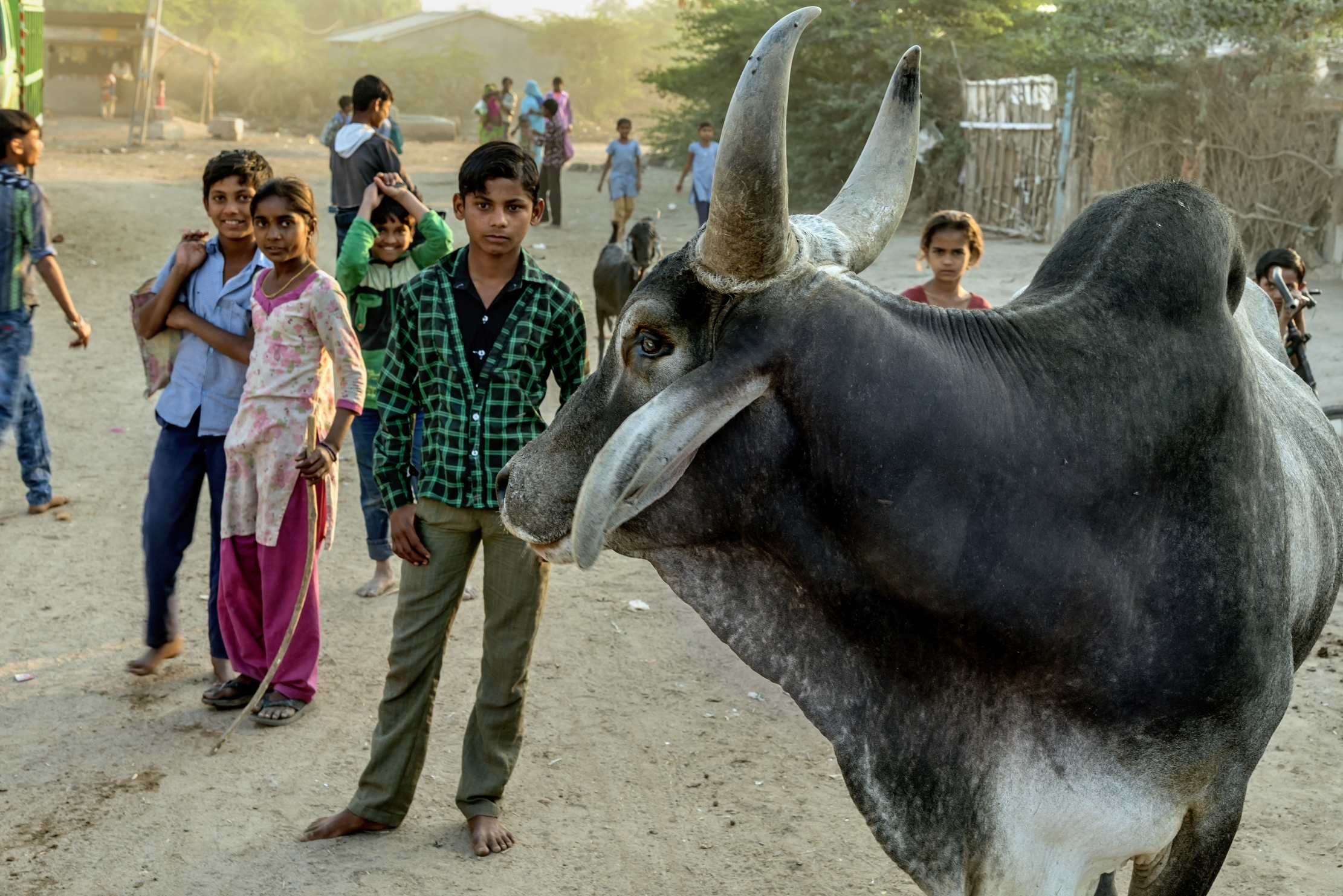 Gujarat 2015 - In un villaggio