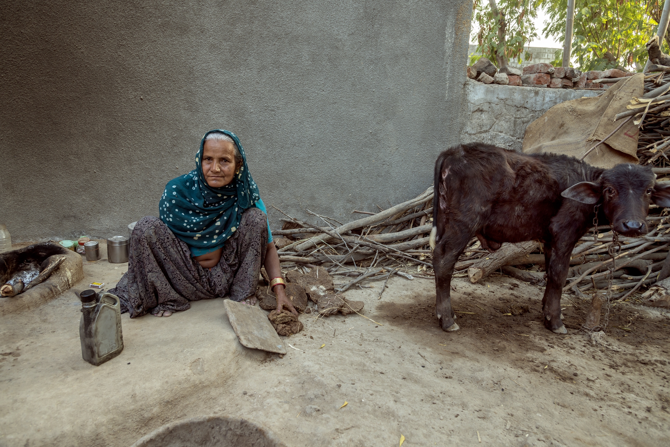 Gujarat 2015 - In un cortile