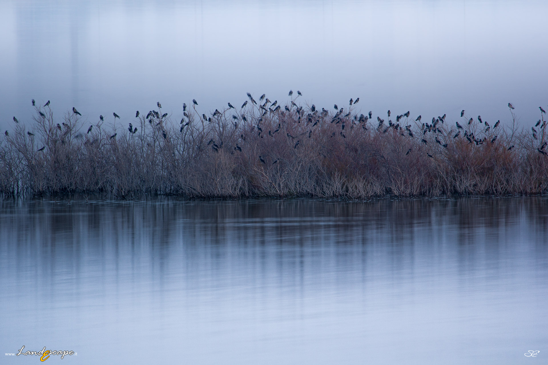 the gathering before the night