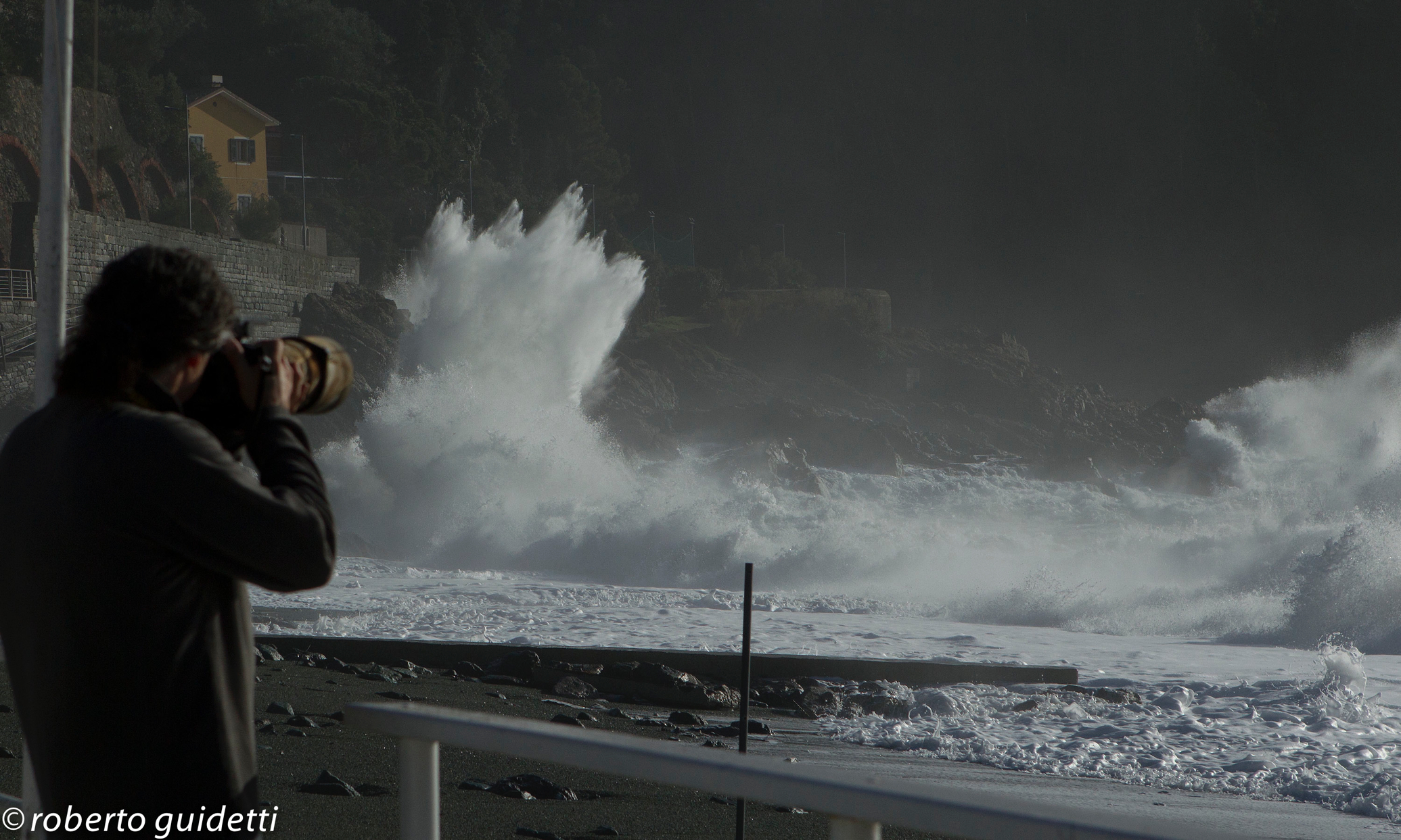 Canon Nikon photographer