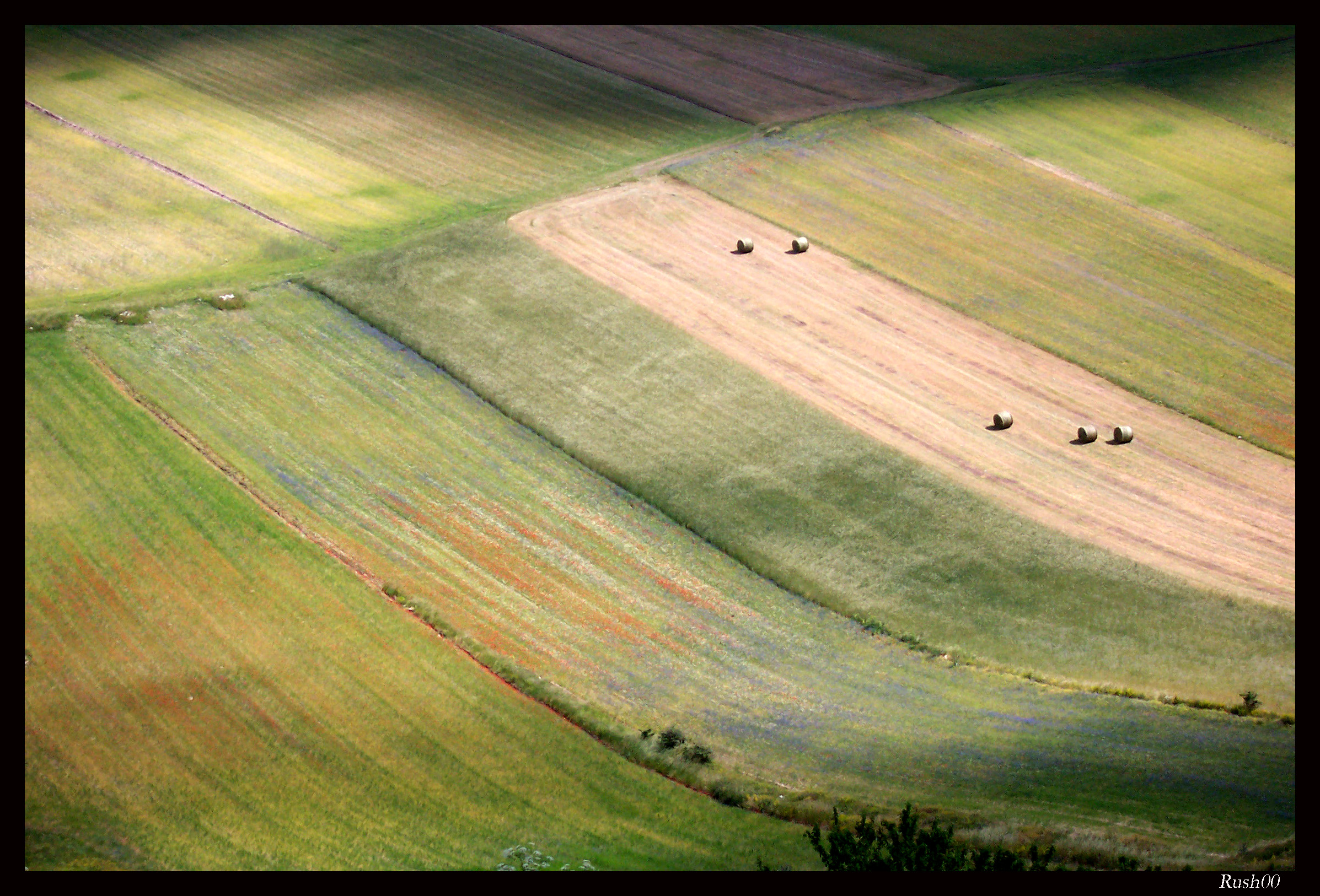 Castelluccio