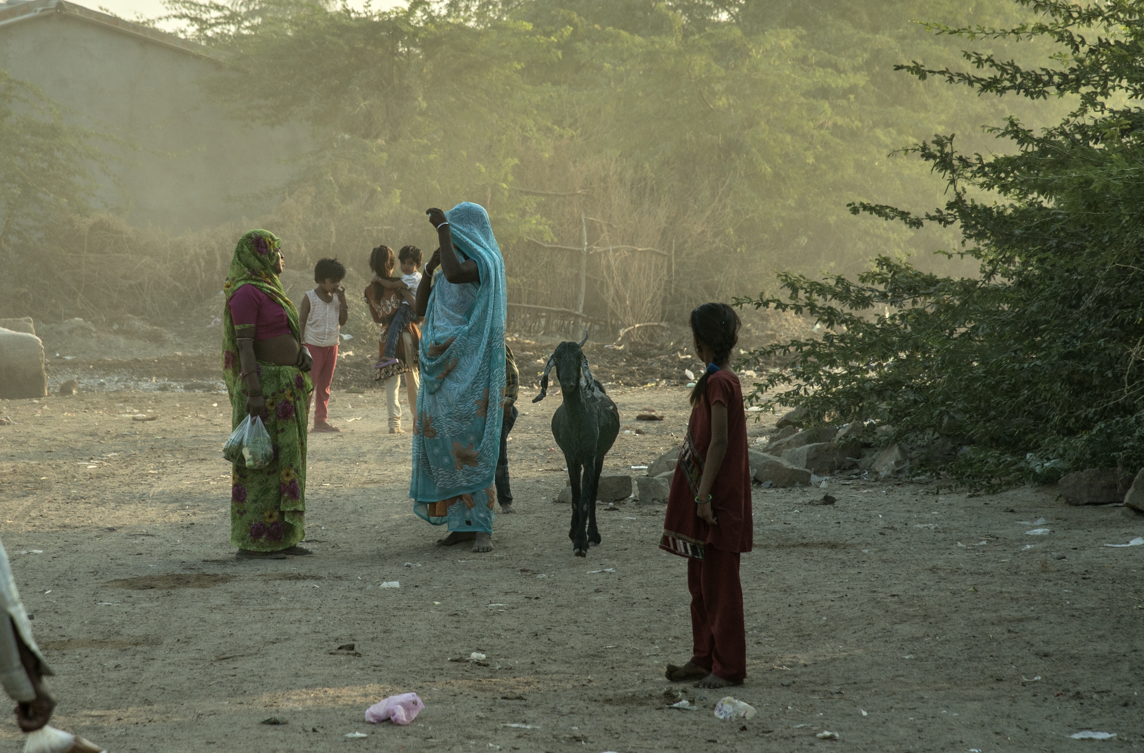 Gujarat 2015 - In un villaggio