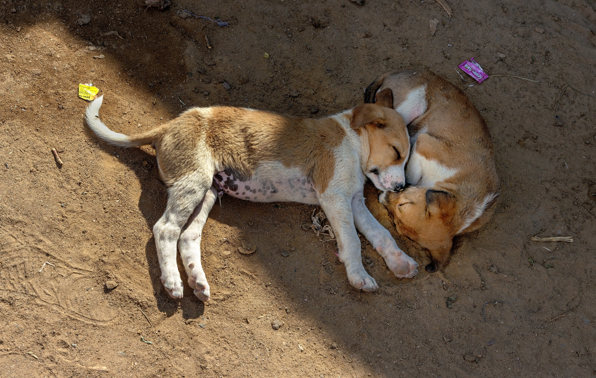 Gujarat 2015 - In un villaggio