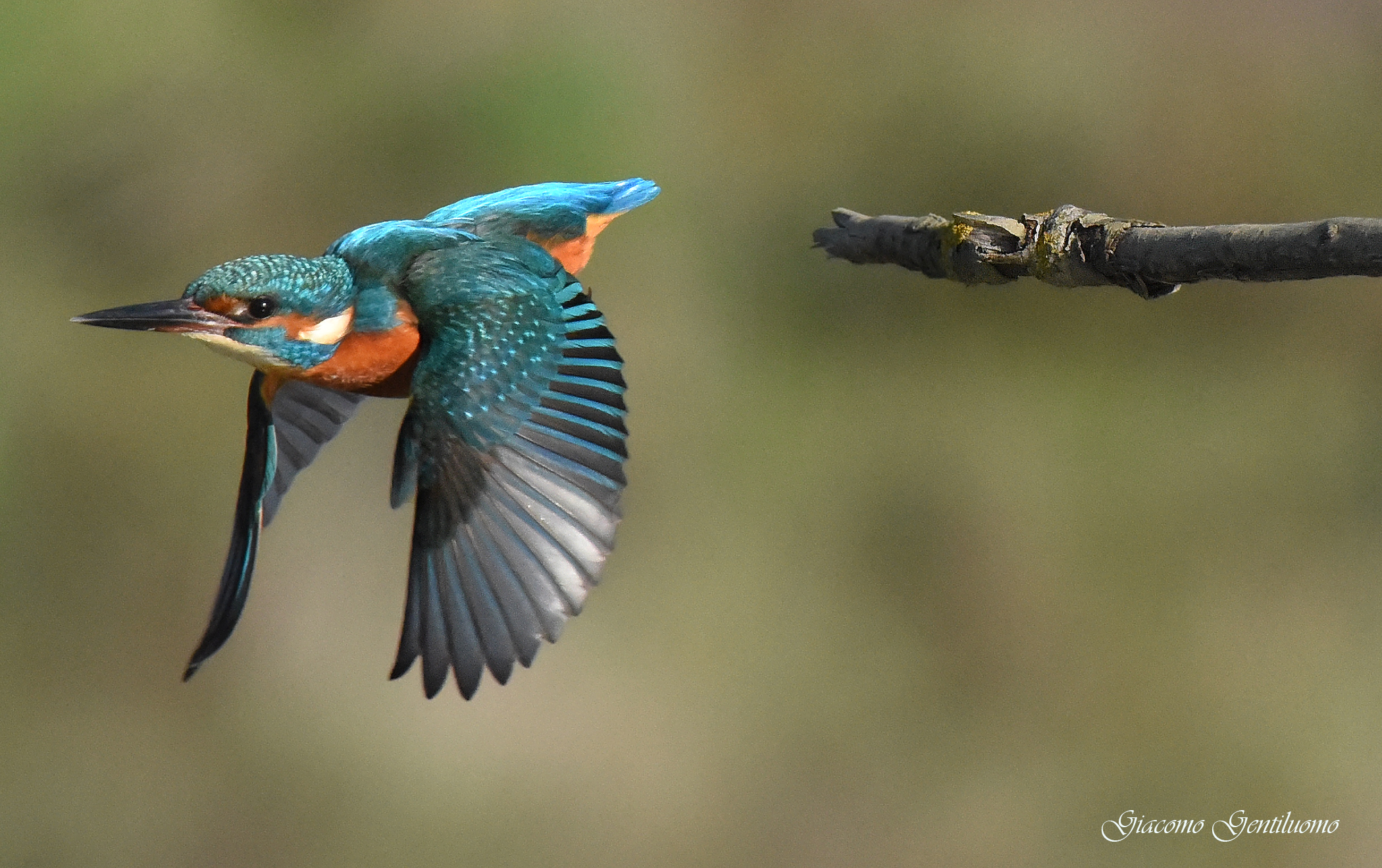 in decollo "NARTINPESCATORE"