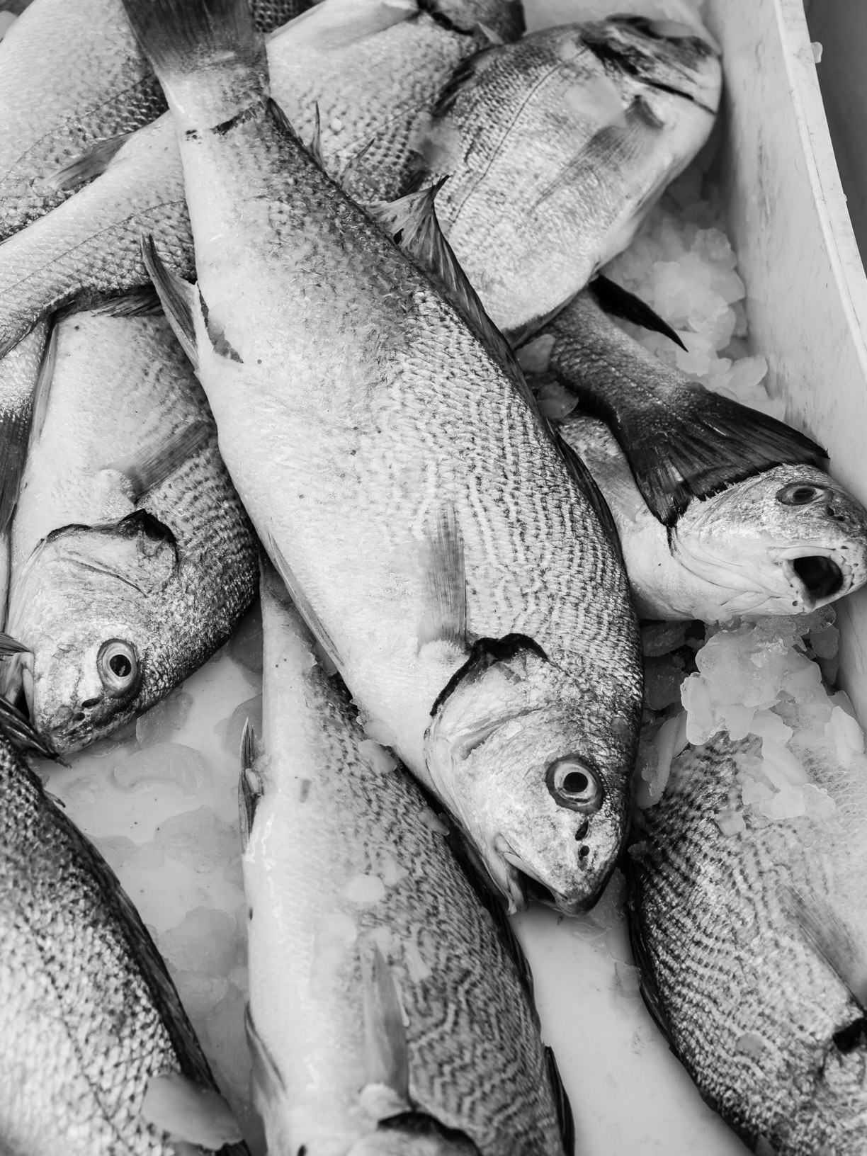 A ride to the dock # 10