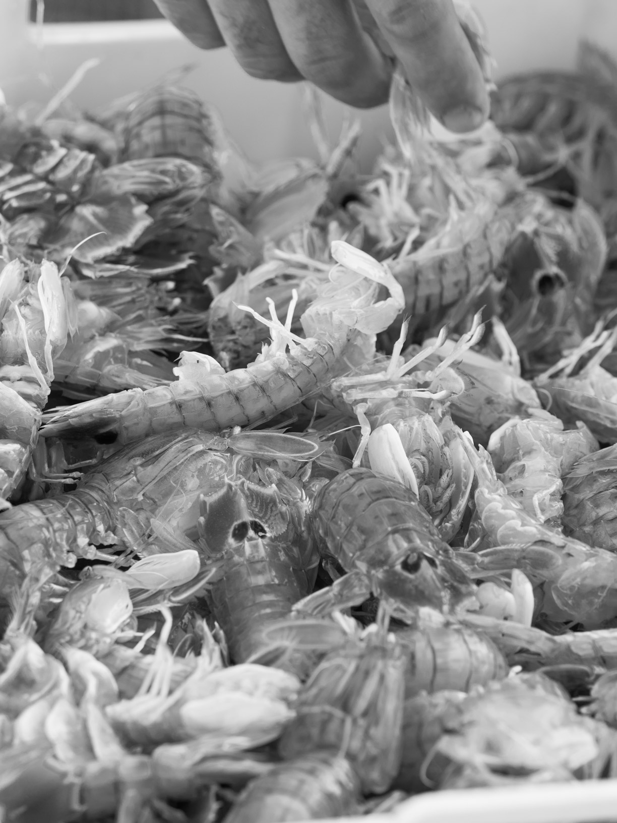 A ride to the dock # 11