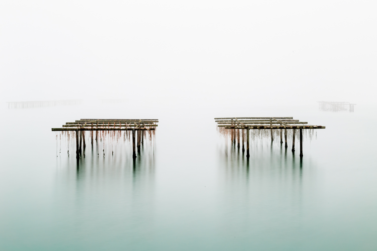 Sacca degli Scardovari... zen