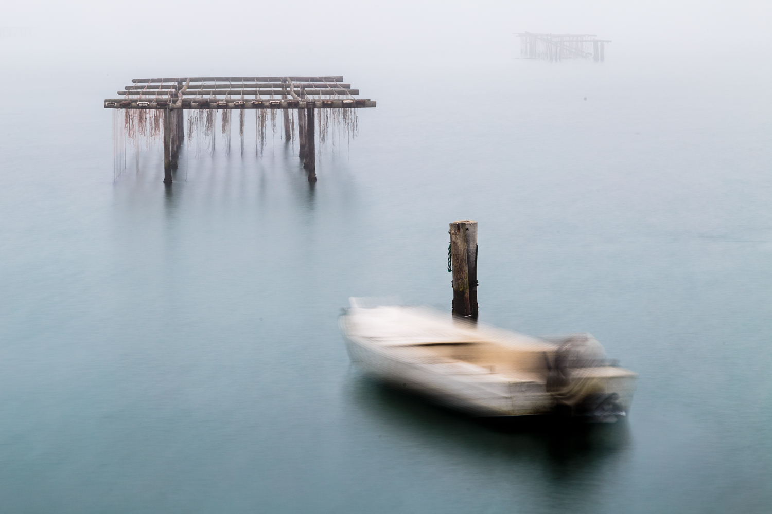 In leggero movimento