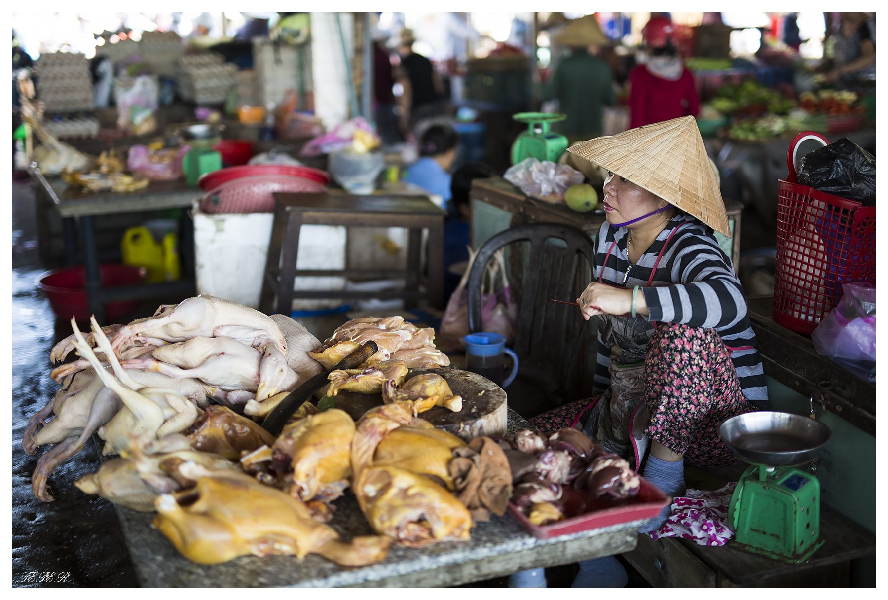 Markets in Hoi An
