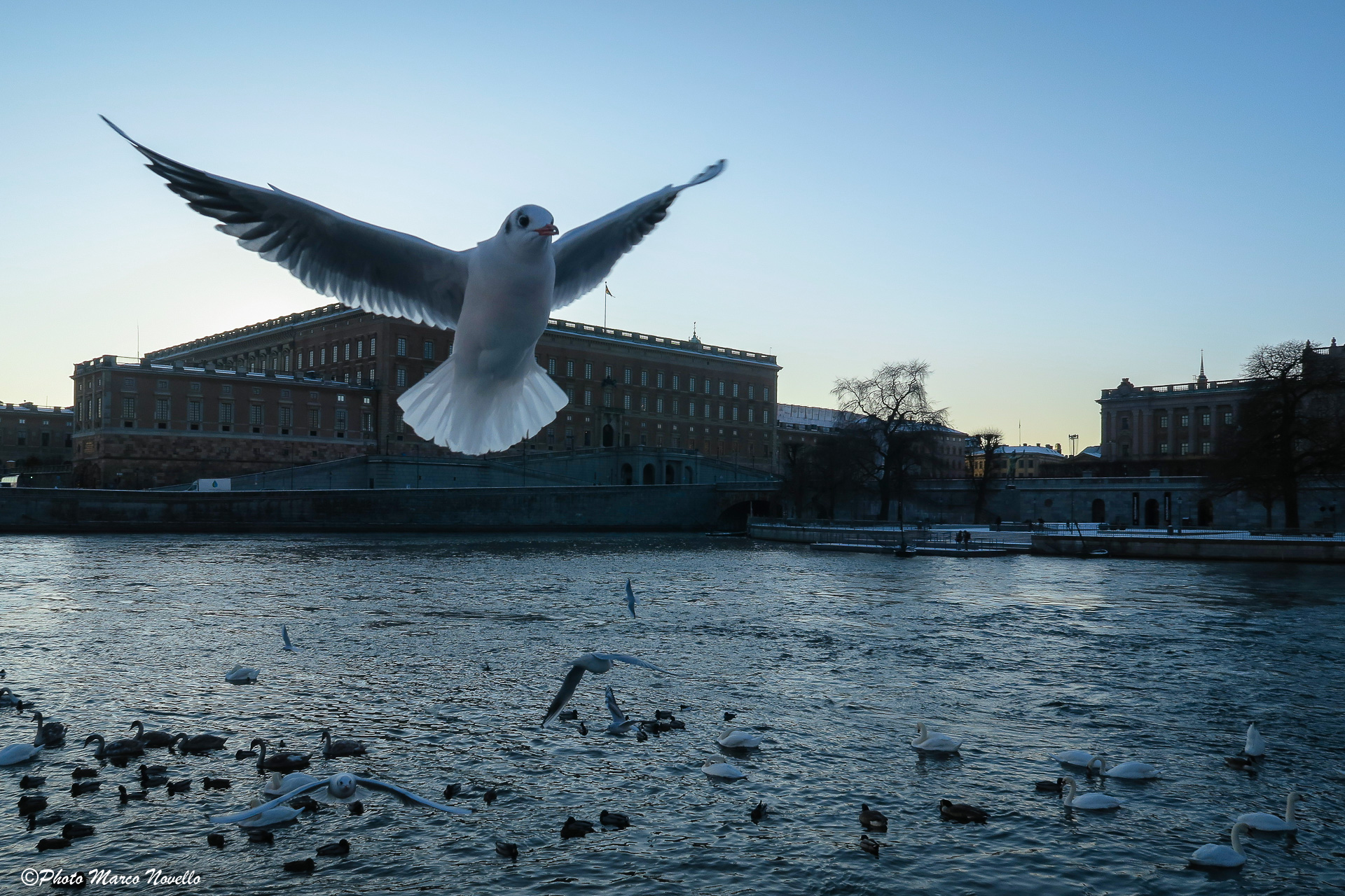 Ehi...tu con la compatta...