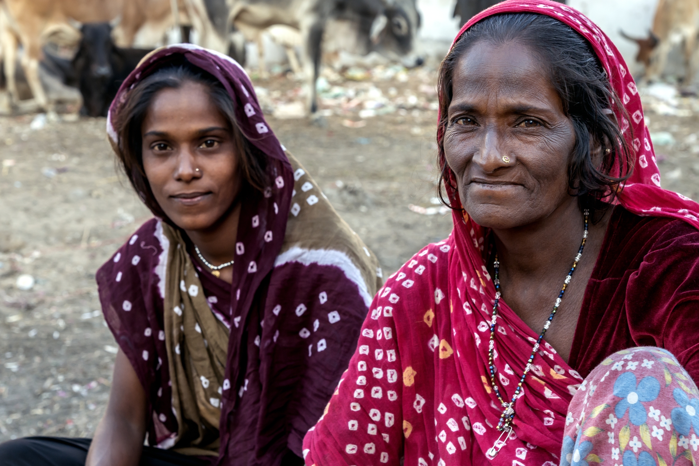 Gujarat 2015 - In un mercato