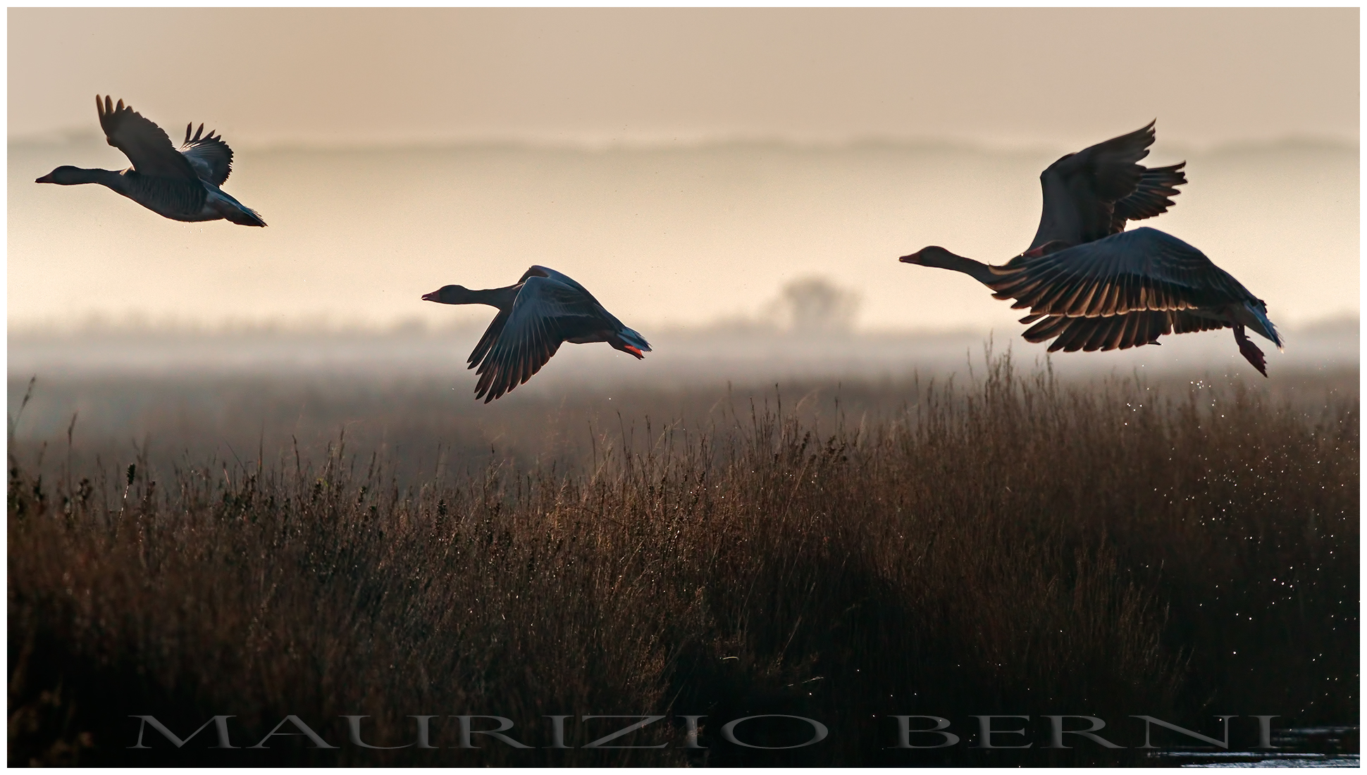 Volo in Maremma Toscana