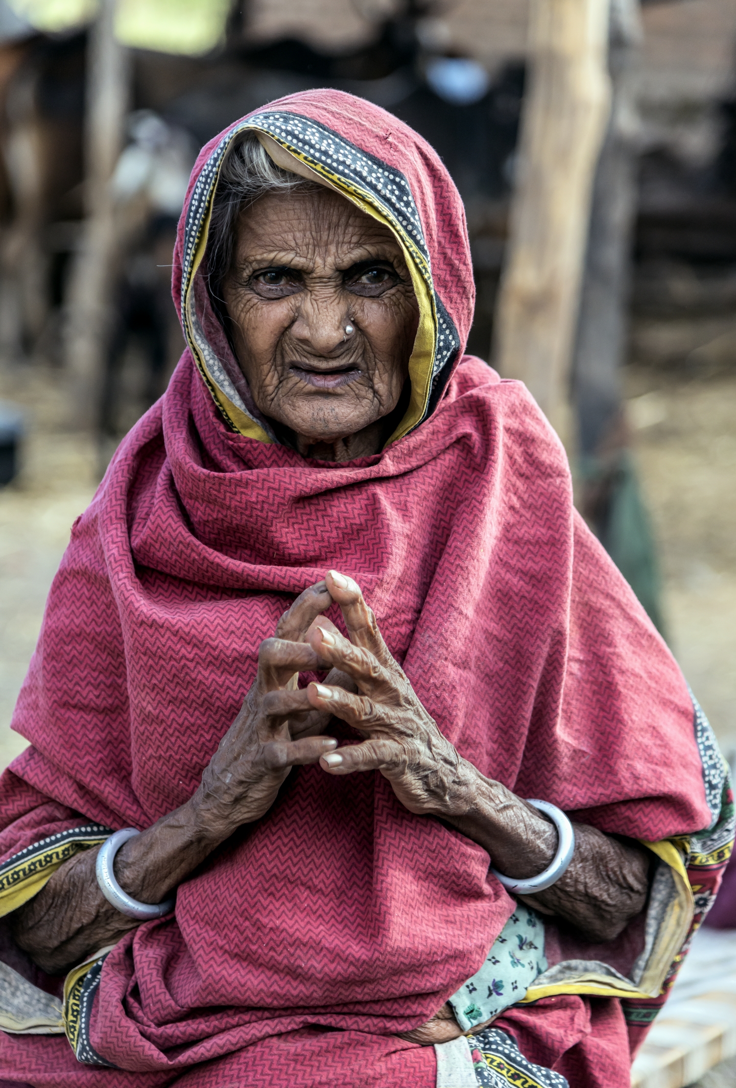 Gujarat 2015  - Anziana Contadina, forse centenaria