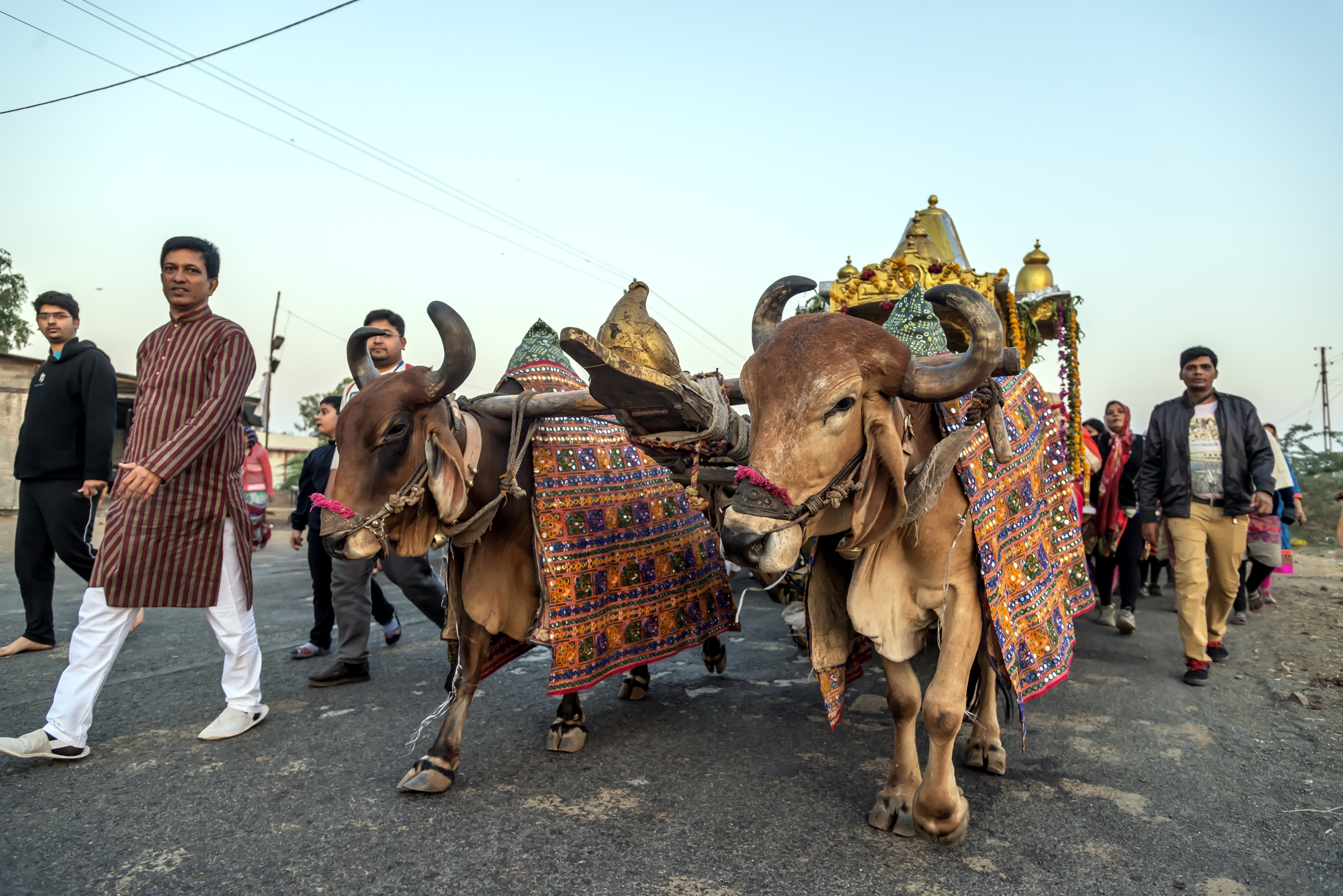 Gujarat 2015  - Processione Jenista (Indù)