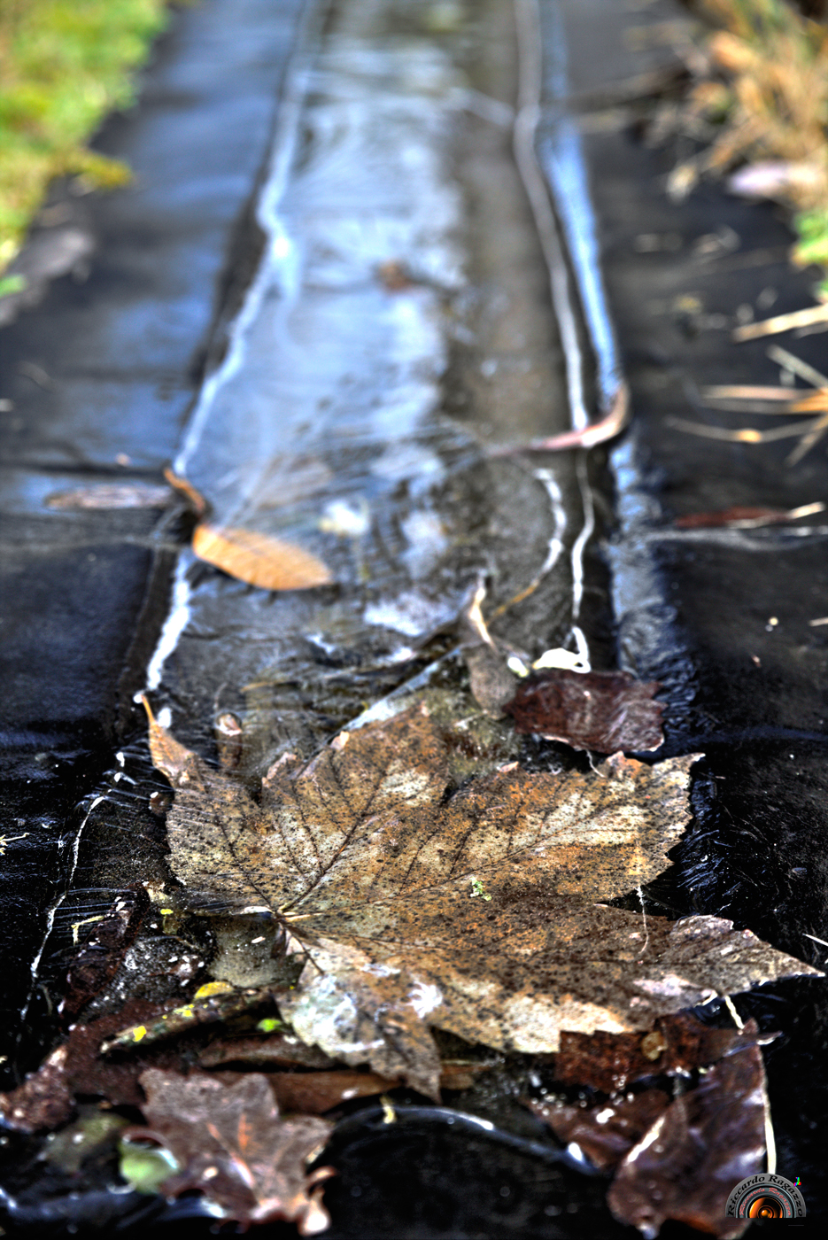 sotto la coltre di ghiaccio