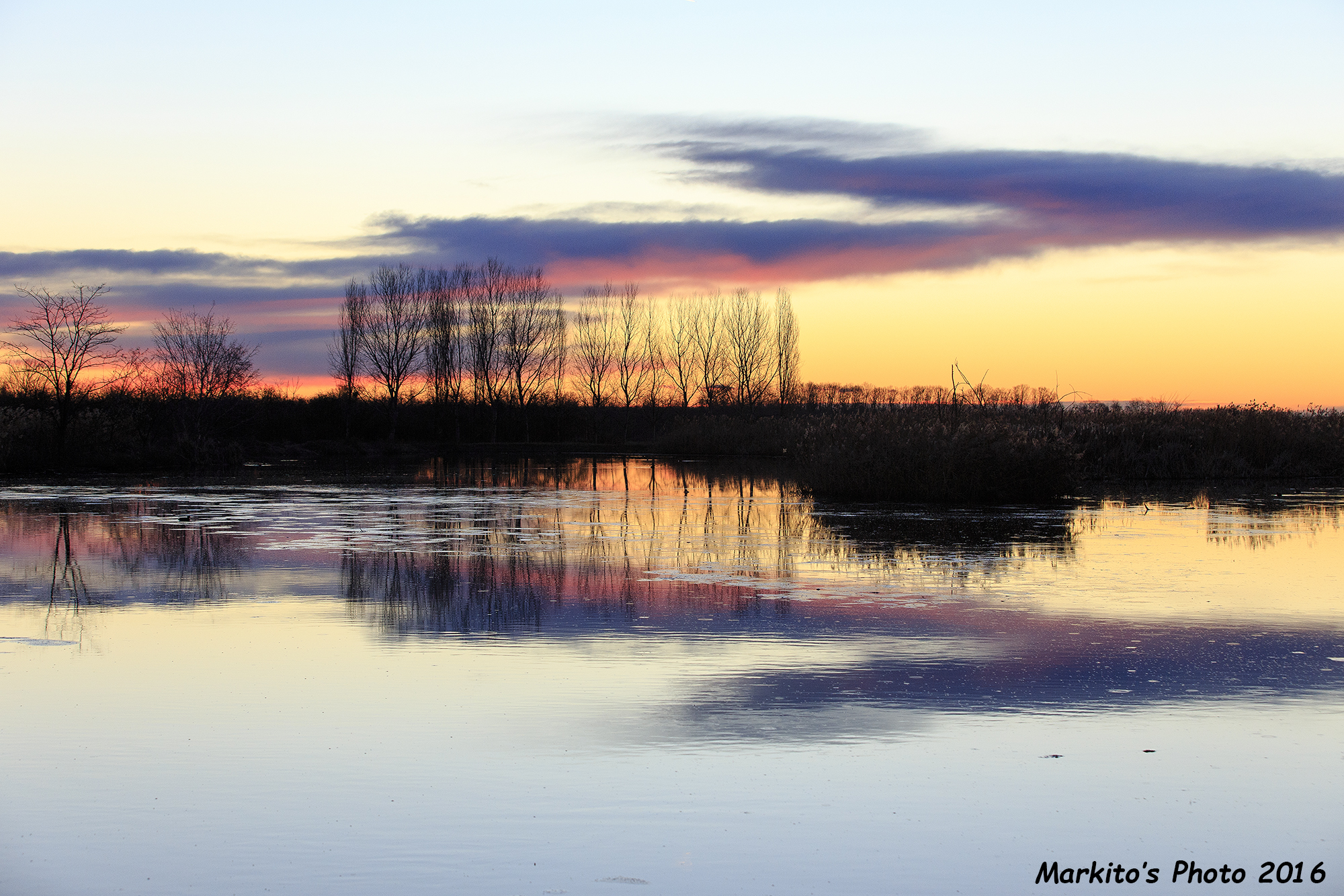 Blue Reflections # 2