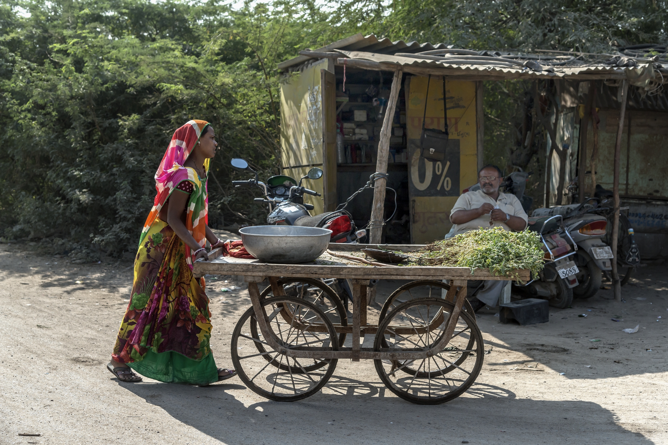 Gujarat 2015 - Vicino un villaggio