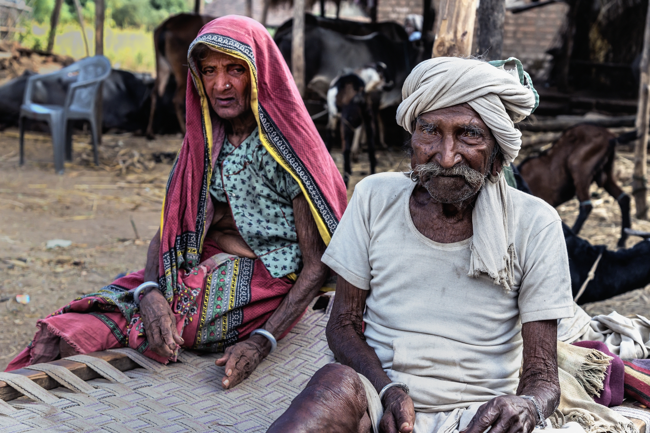 Gujarat 2015 - Coniugi quasi centenari