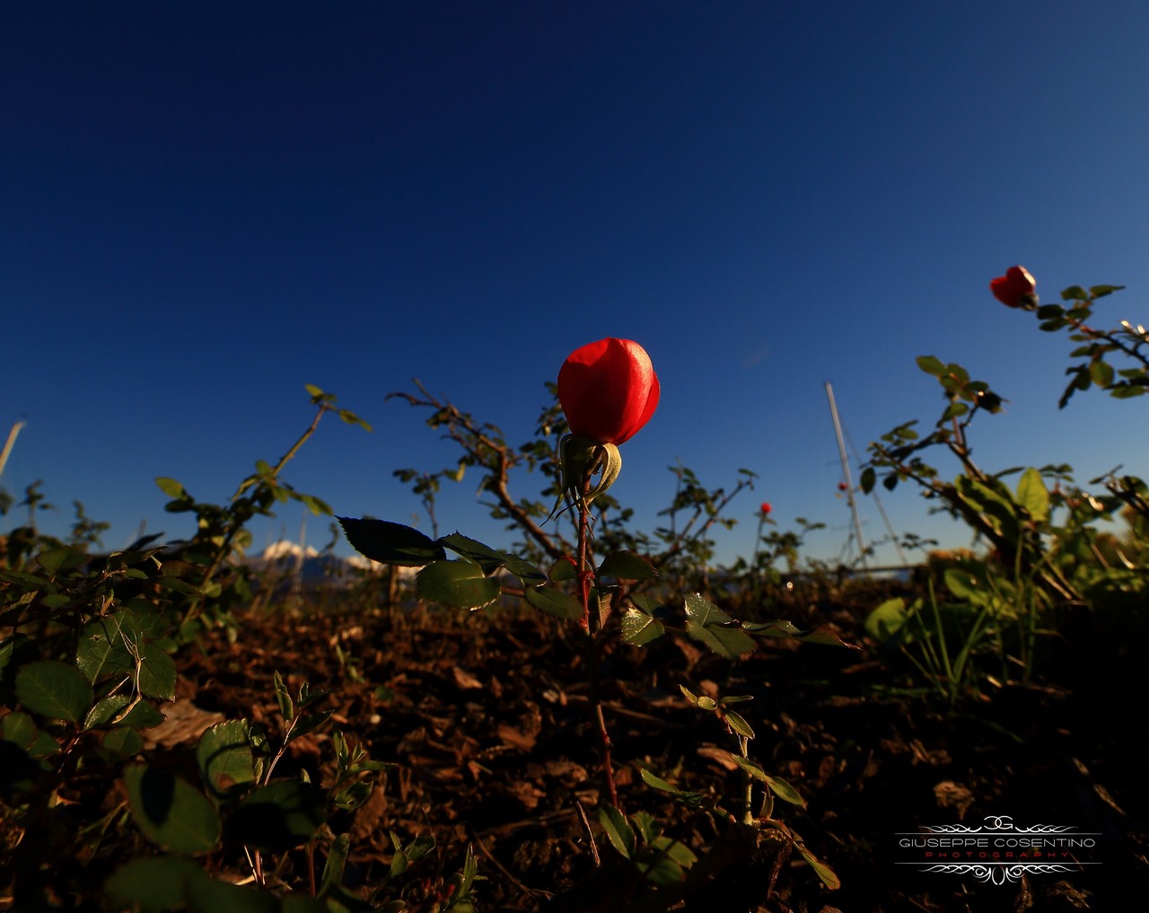 Porto Bocca di Magra