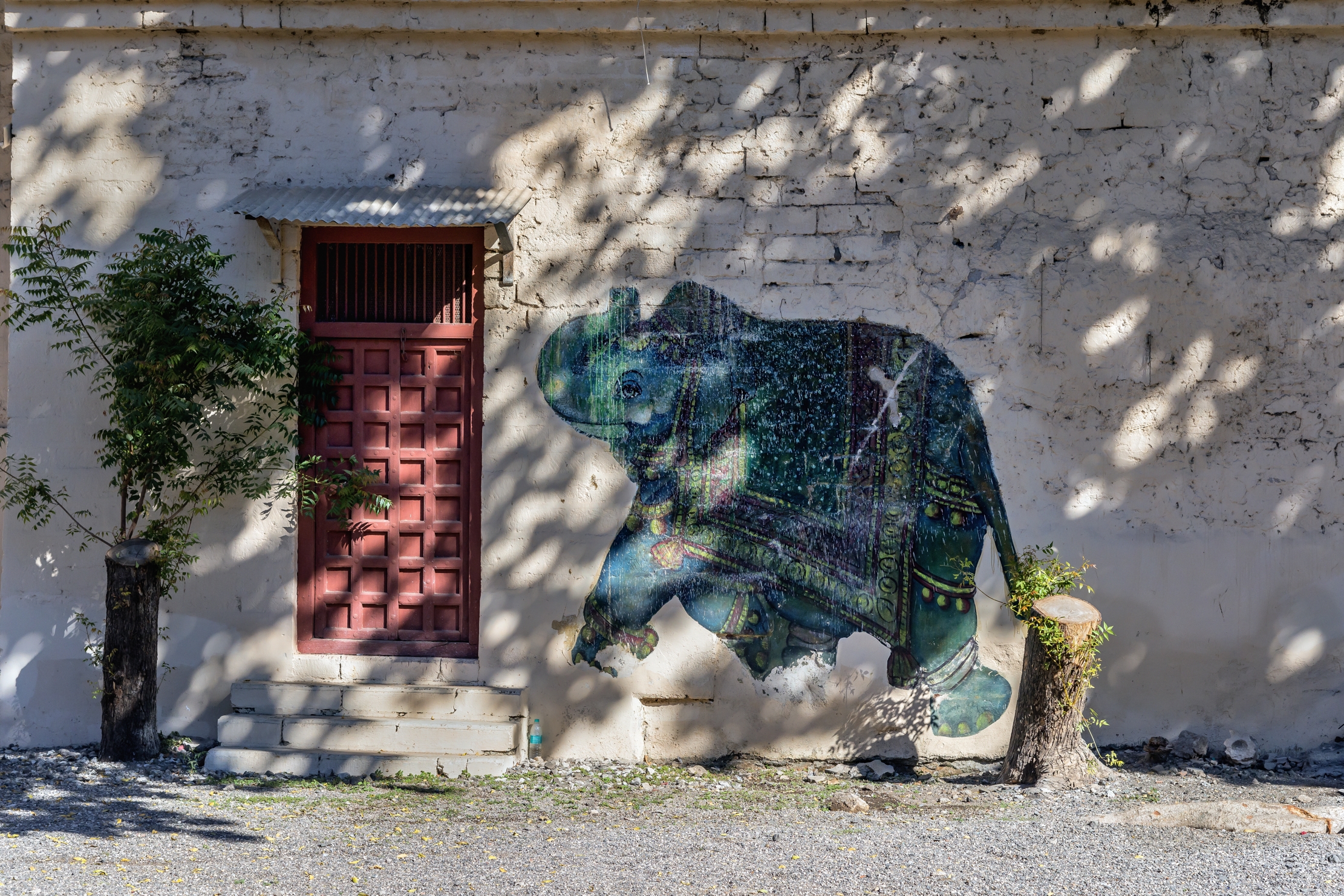 Gujarat 2015 - In un palazzo di un Maharaja