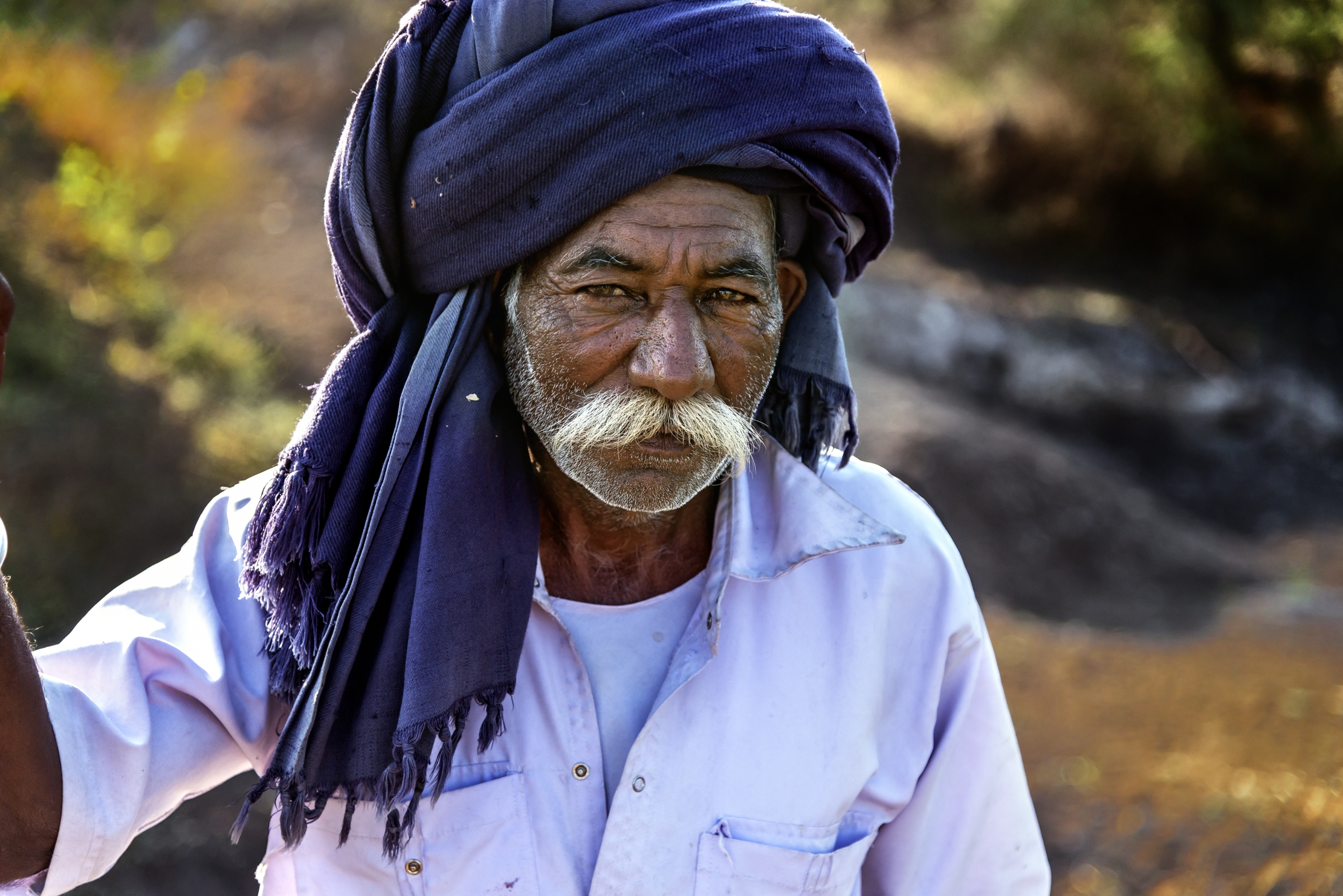 Gujarat 2015 - Pastore