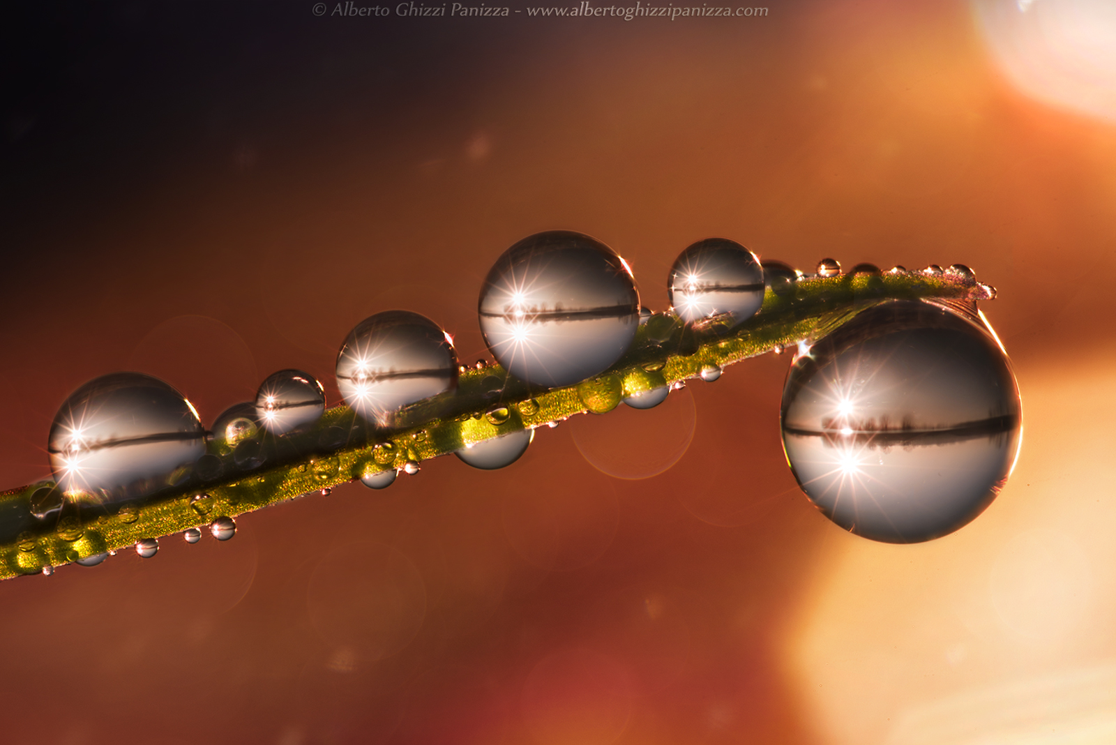 Riflessi dell'alba in Golena