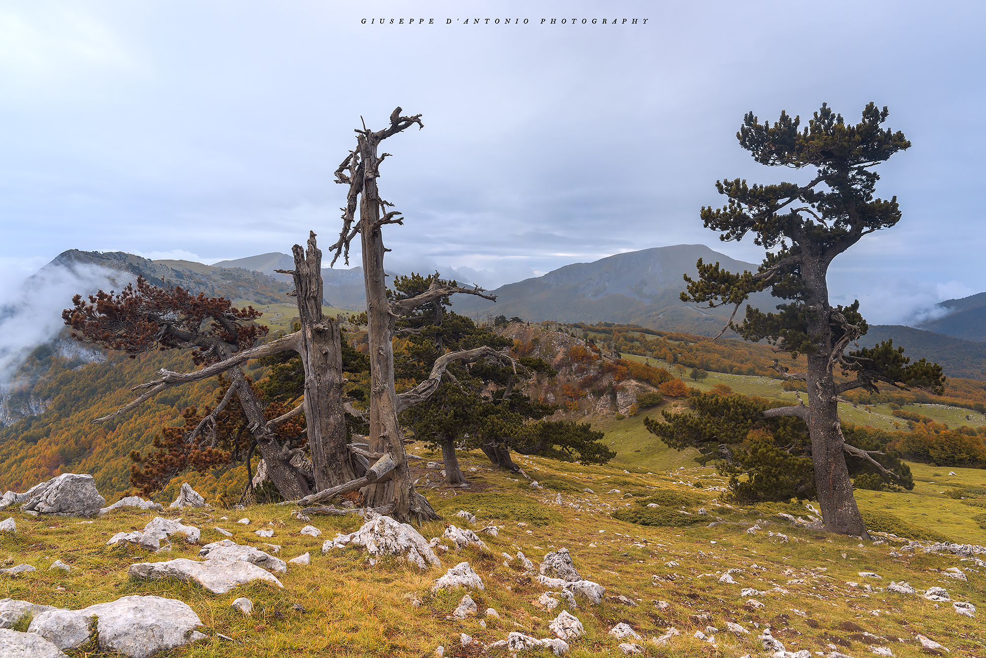 Pollino National Park