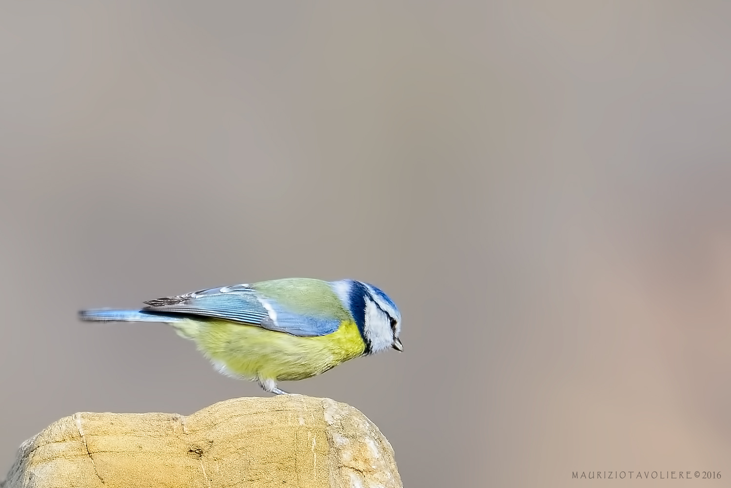 Lombardia, Gennaio '16