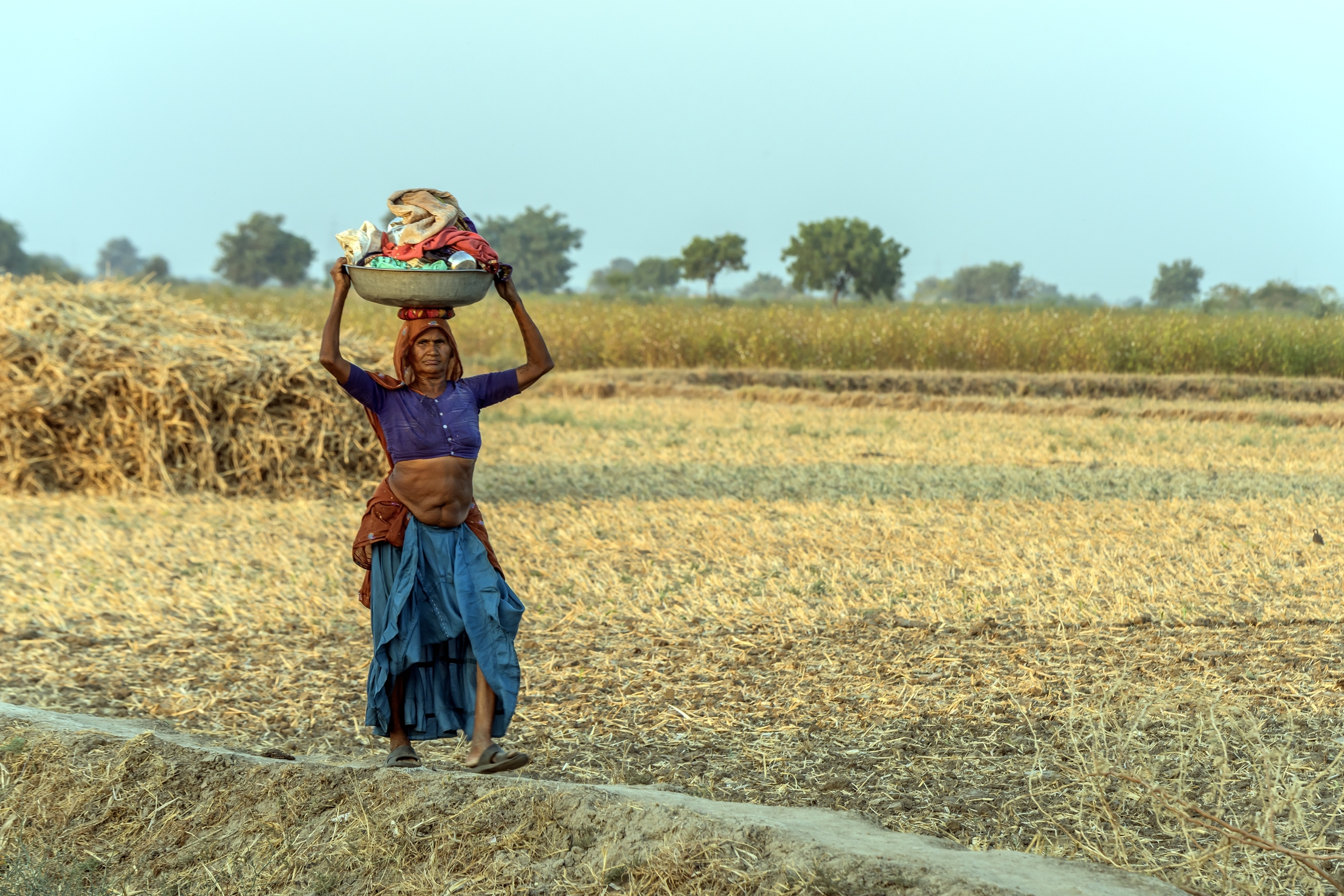 Gujarat 2015 - Nella campagna