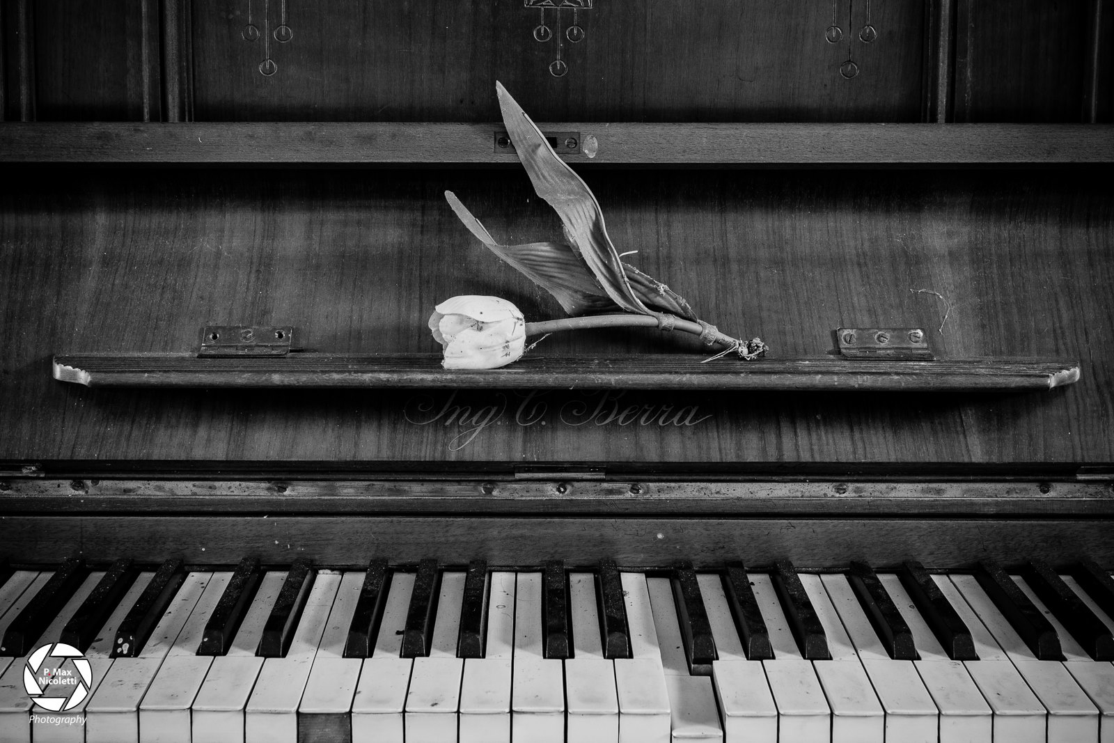 The real music is the silence...