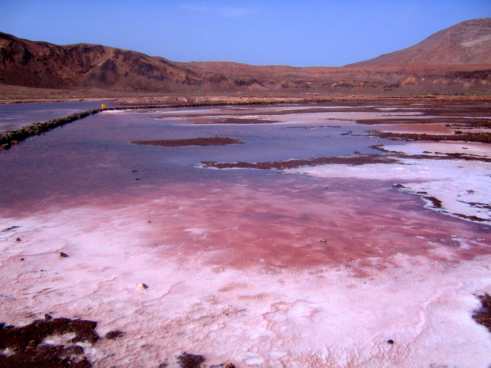 The salt marshes of the island of Sal (Cape Verde)