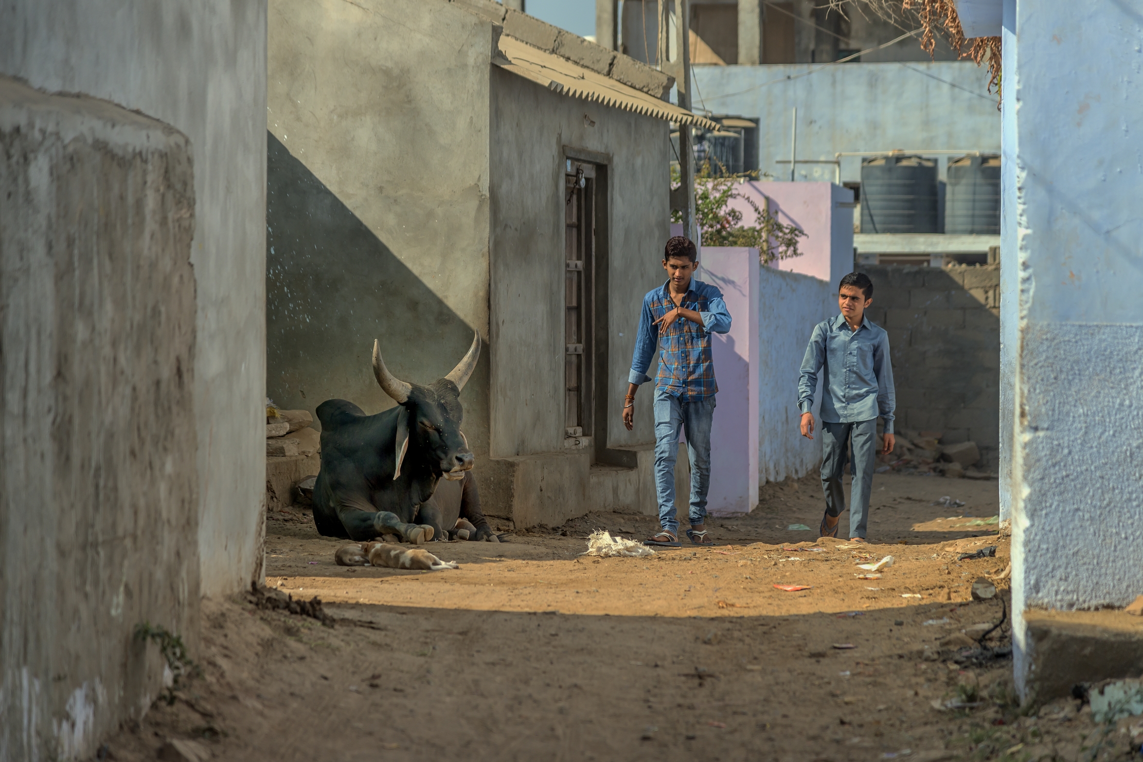 Gujarat 2015 - In un villaggio