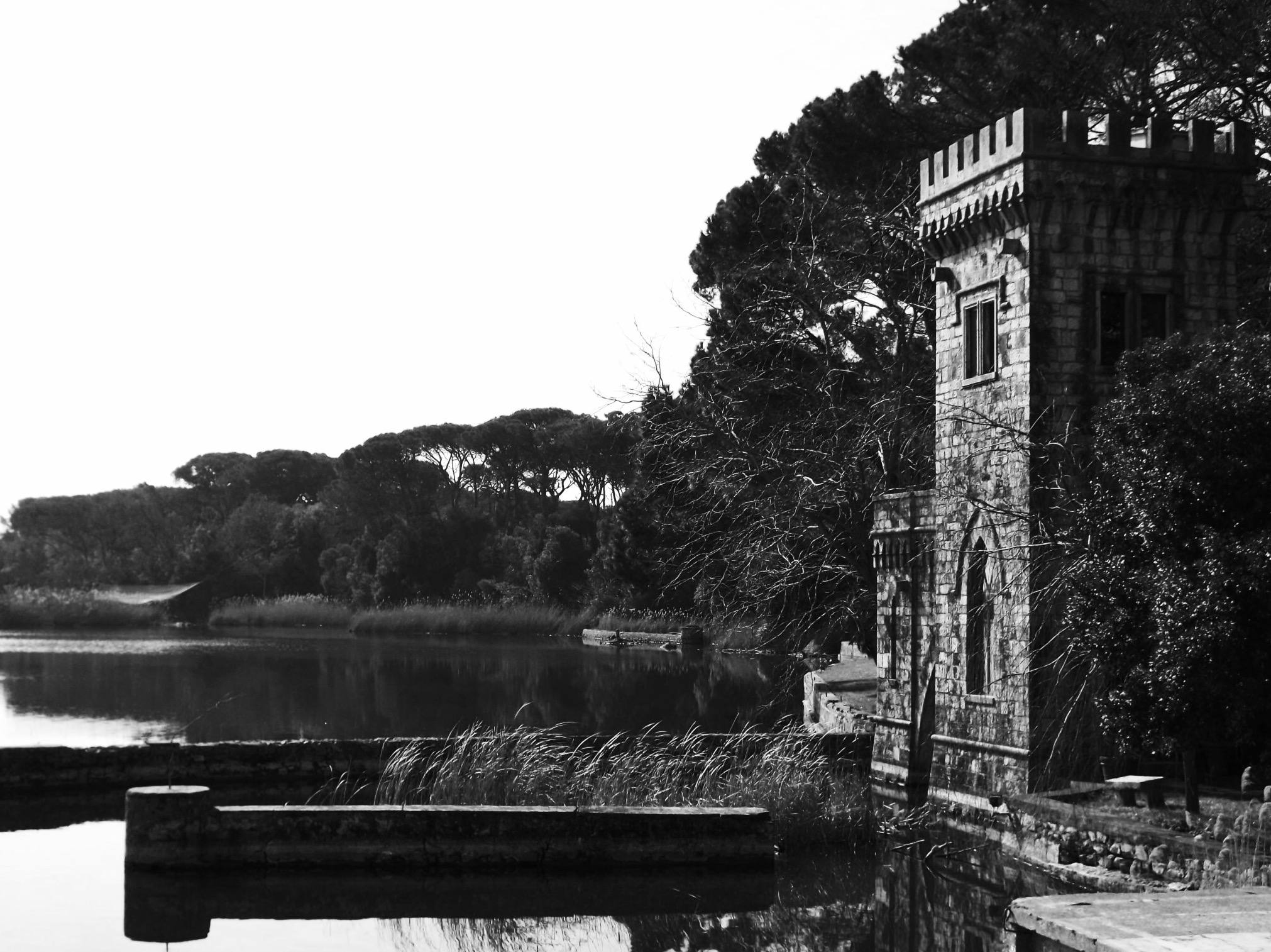 Torre del Lago Puccini