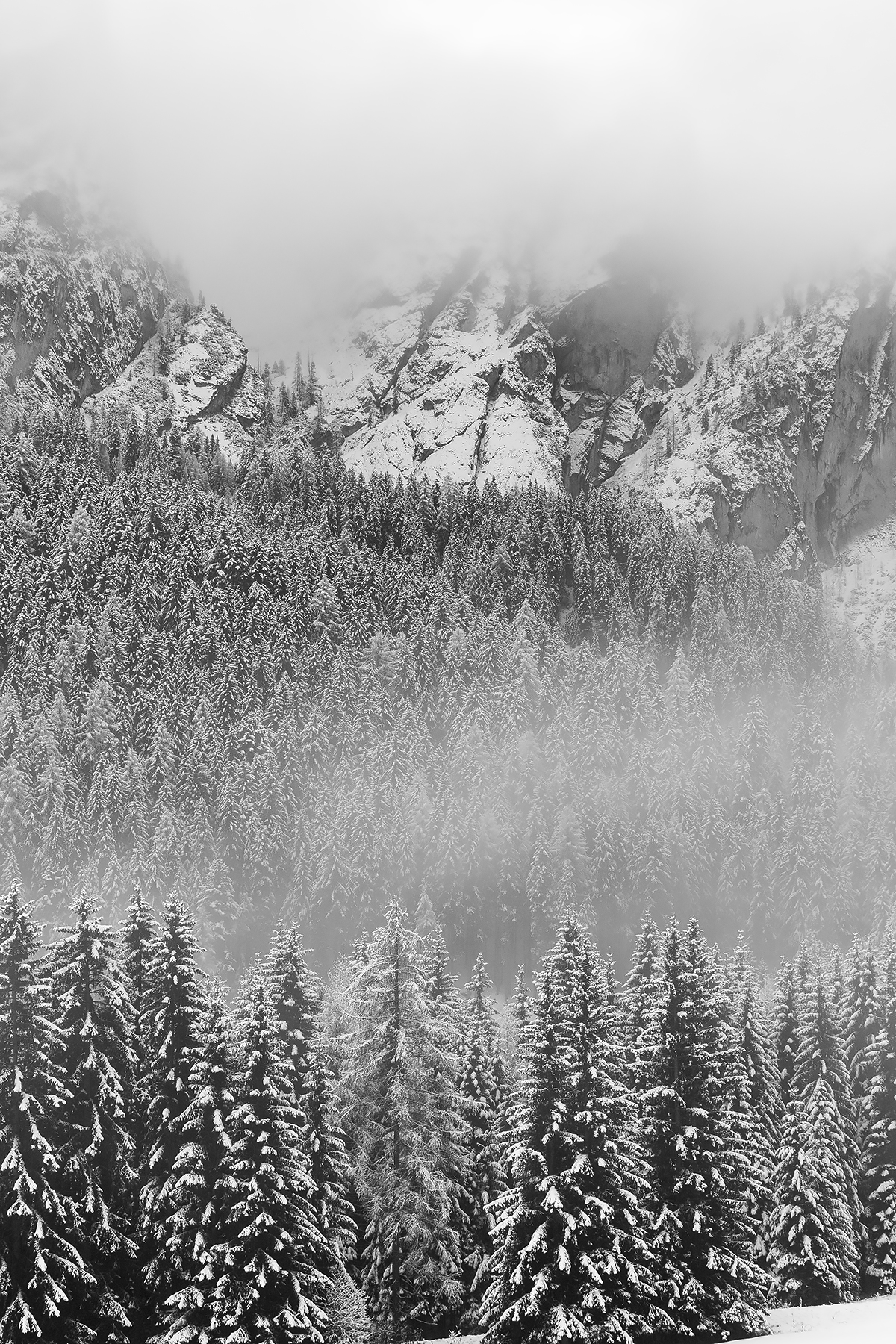 Geometries - Braies - Val Pusteria