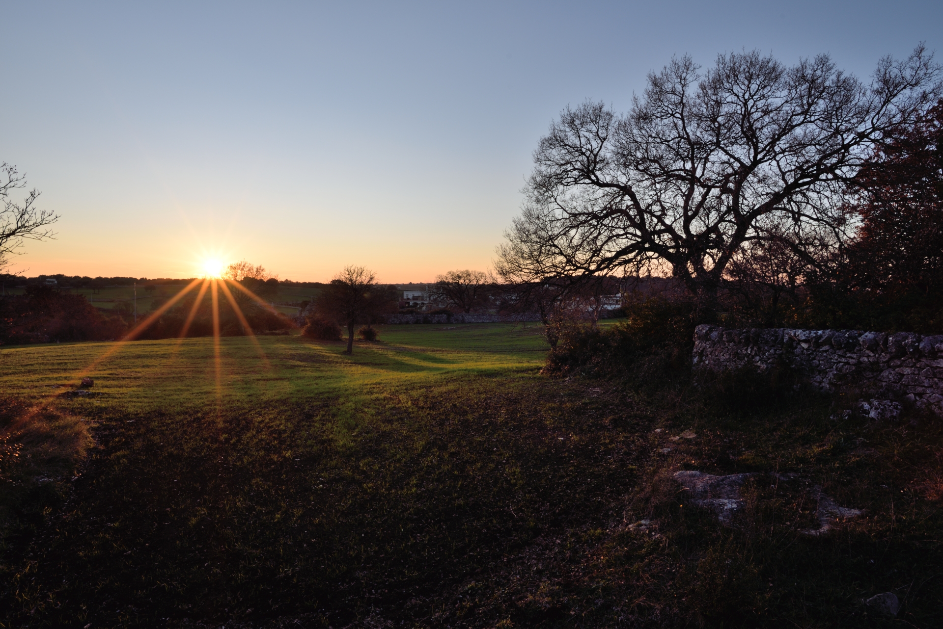 Sunset on forest Montedoro