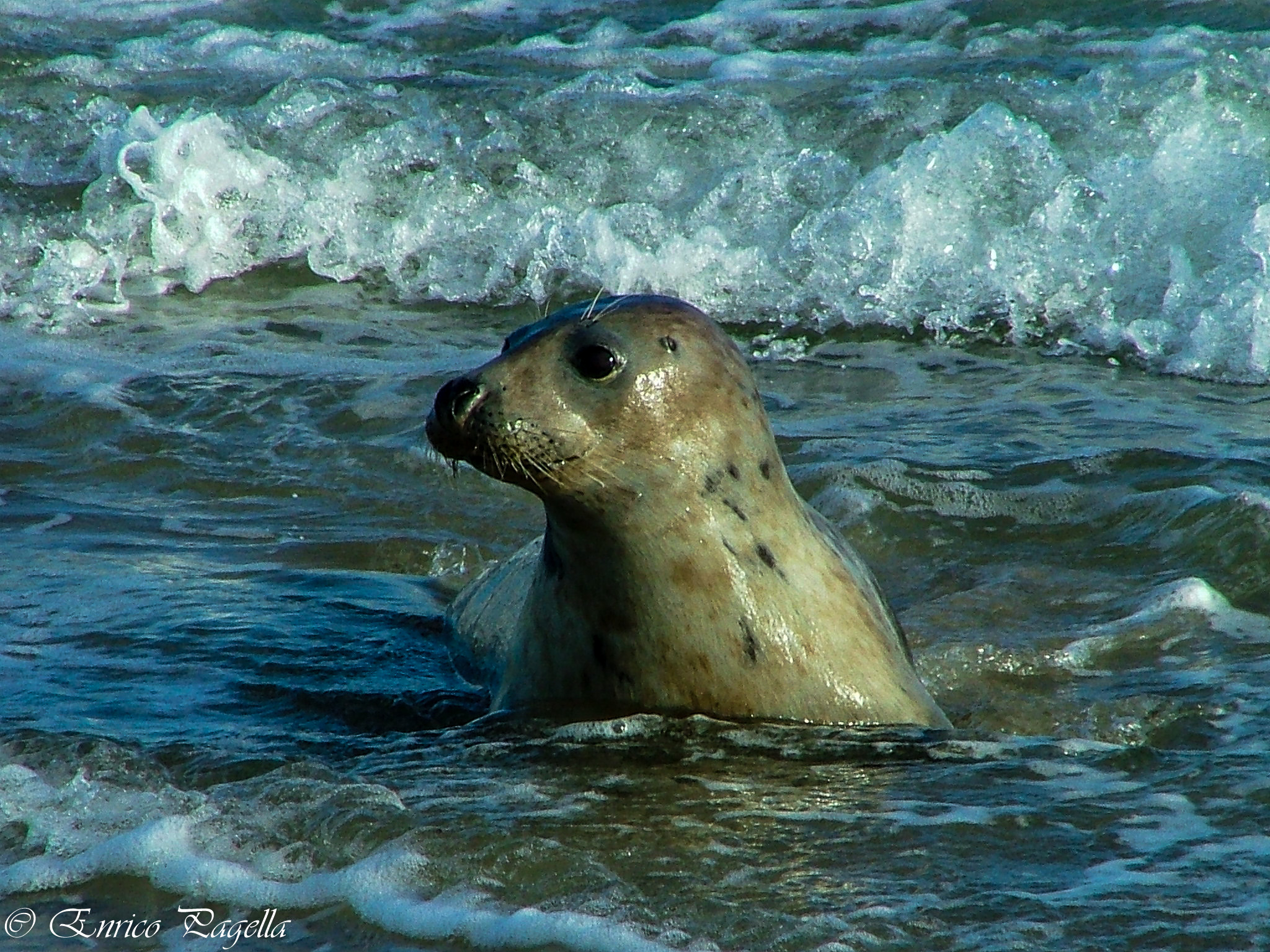 sto qui e mi faccio un idromassaggio!!!