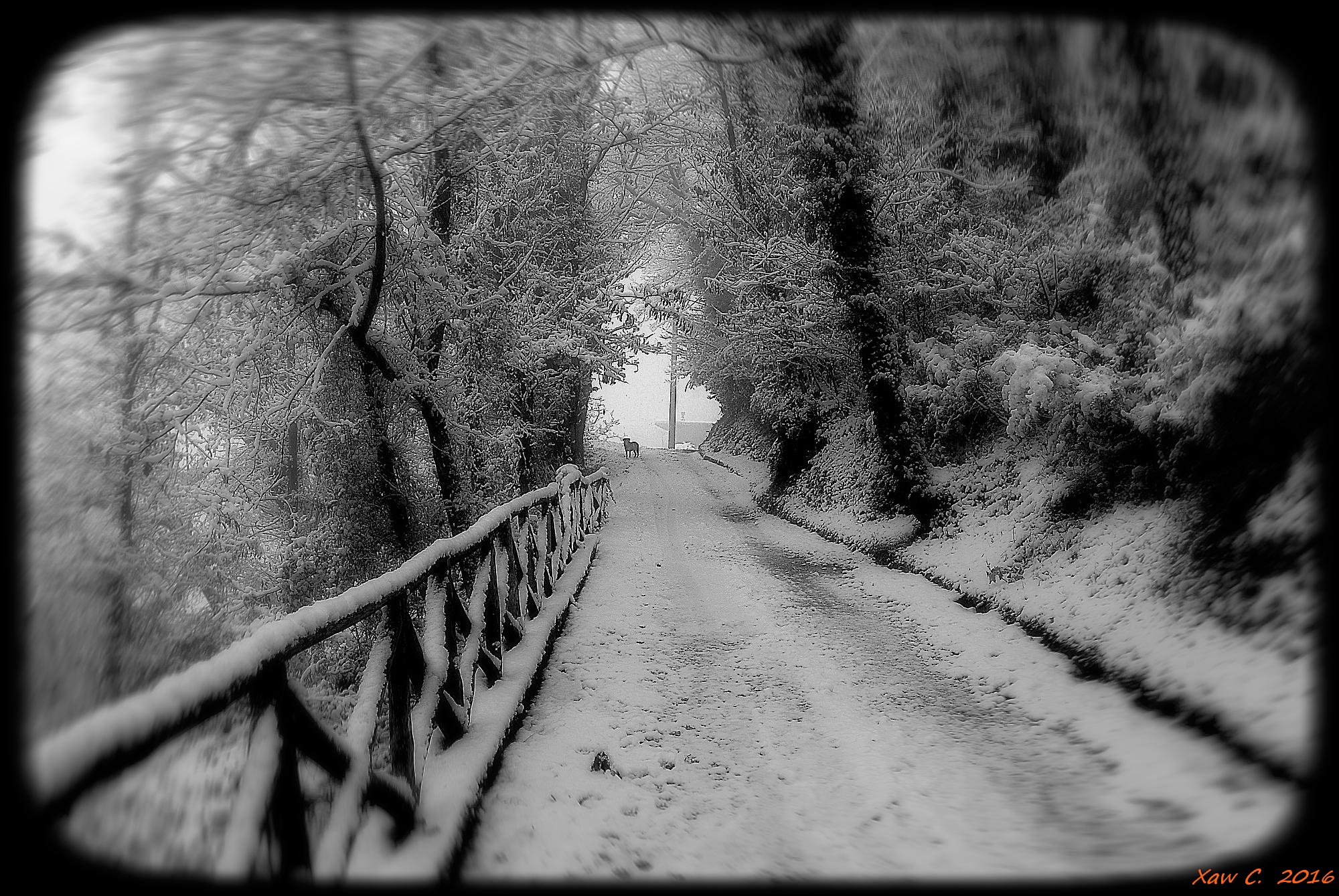 a street, at the bottom