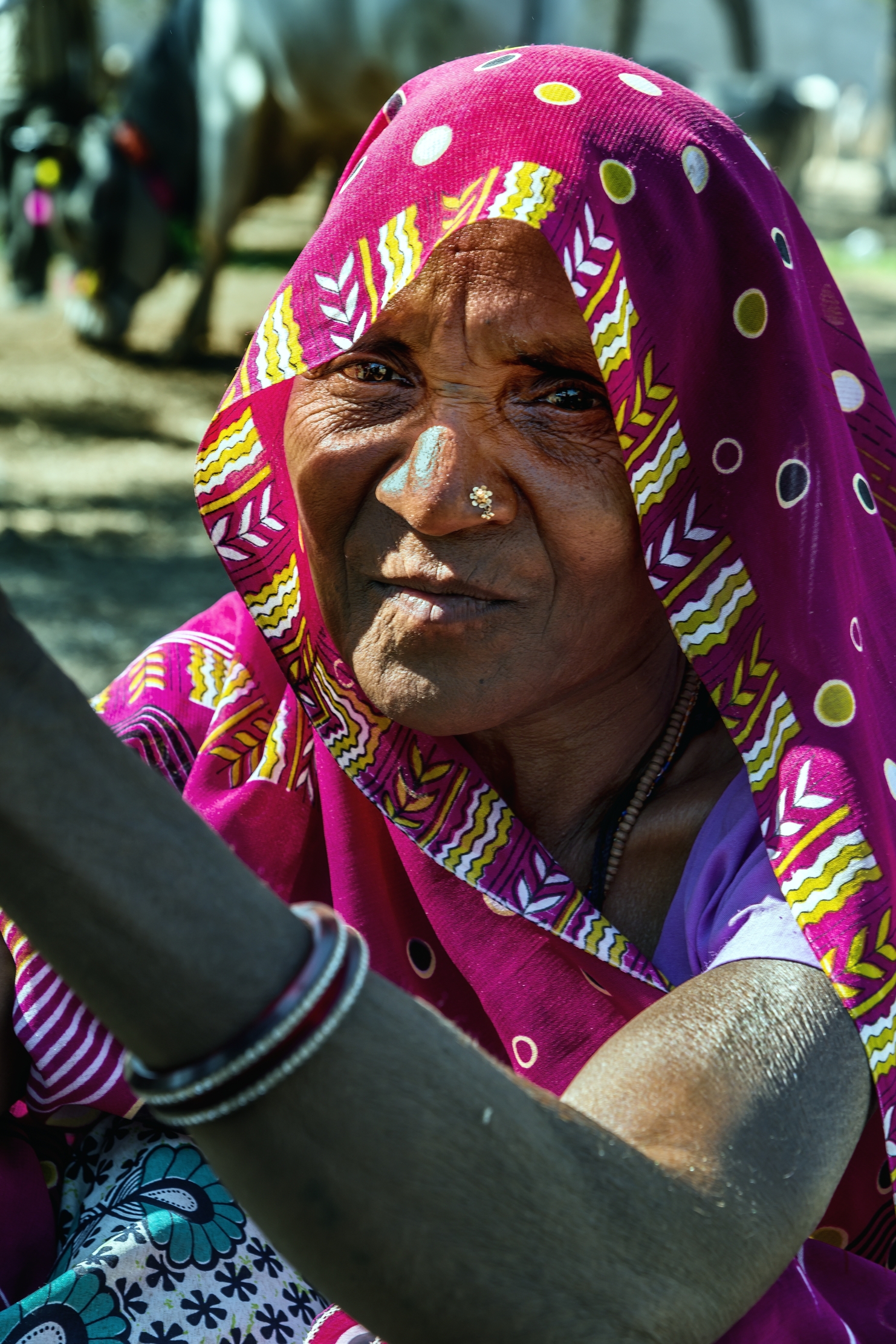 Gujarat 2015 - In un mercato