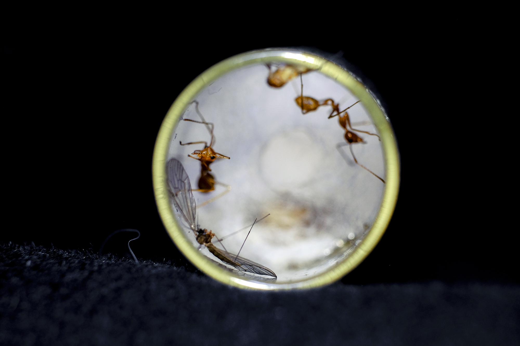 " And yet it moves . . . "