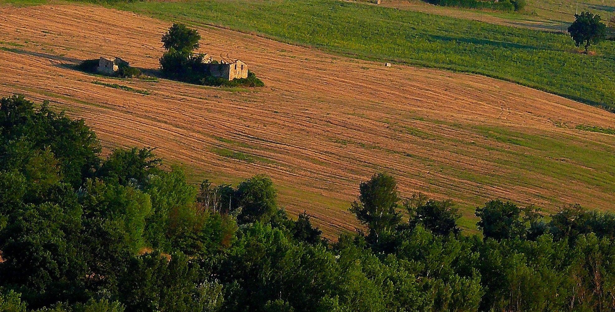 Umbrian landscape 3