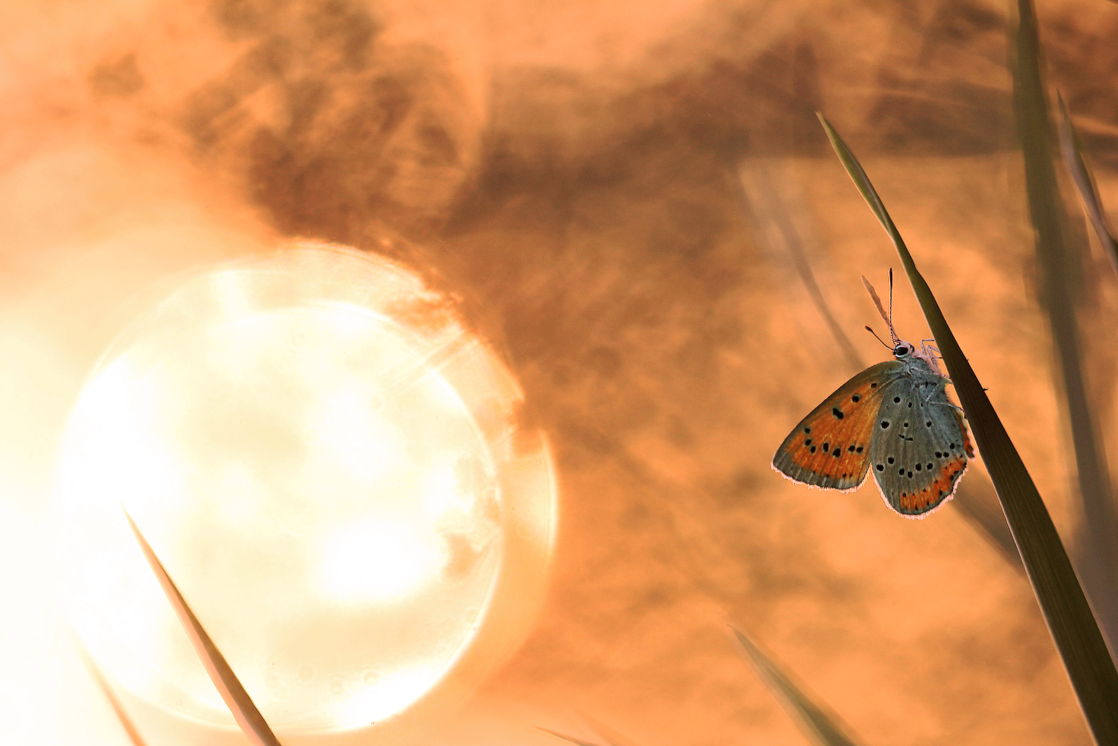 If you wake up and don't see the sun...