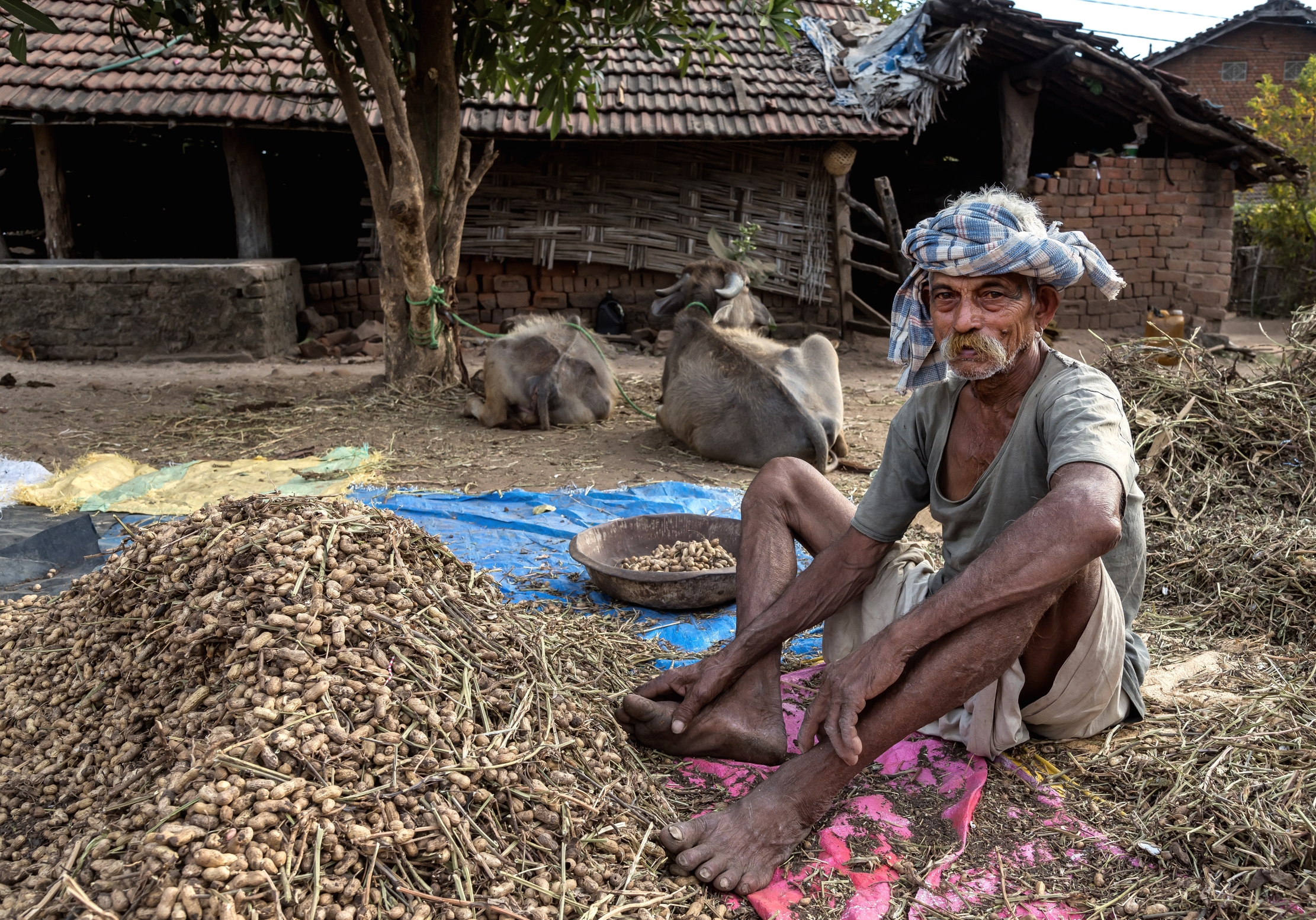 Gujarat 2015 - Contadino