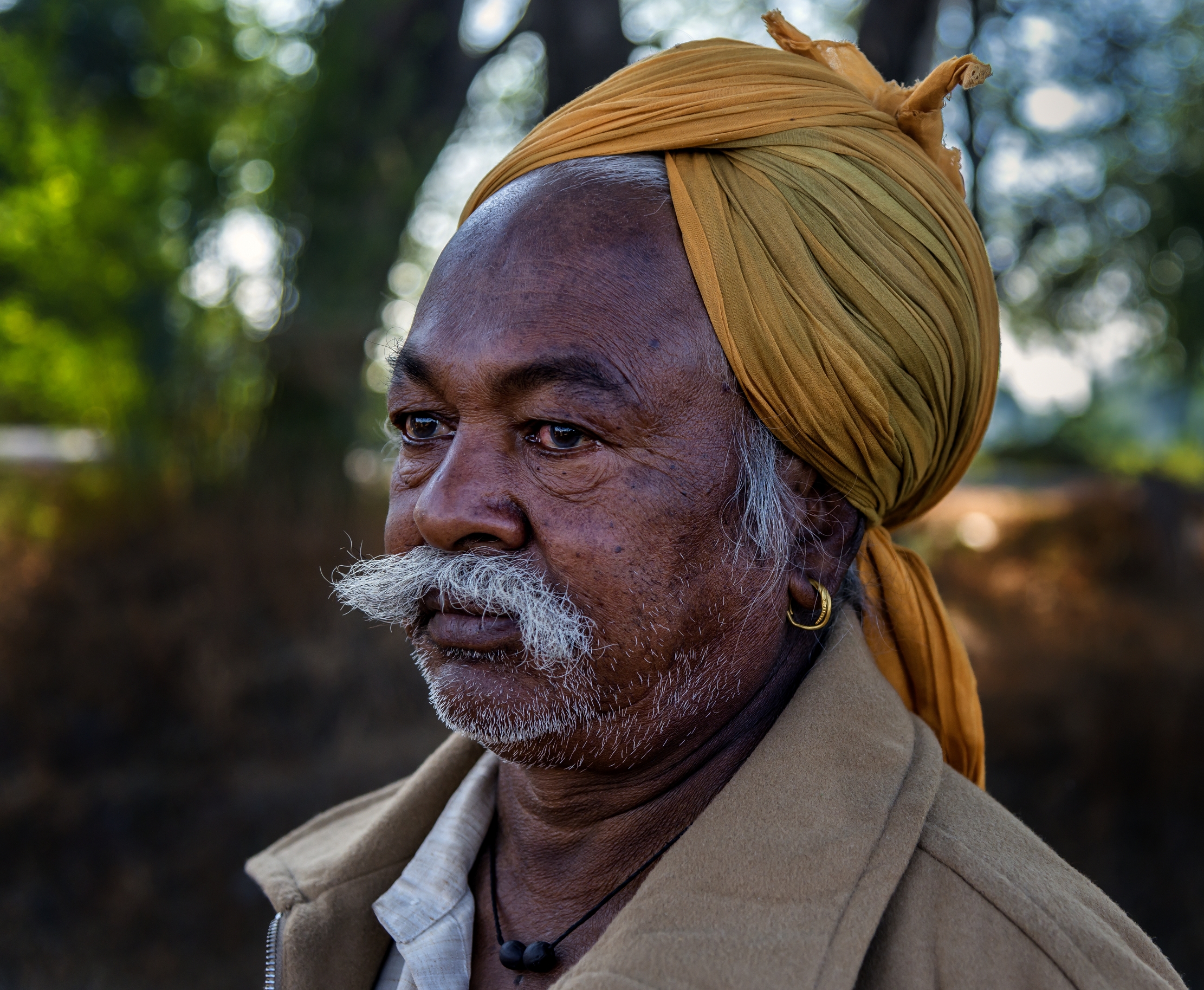 Gujarat 2015 - Nomad