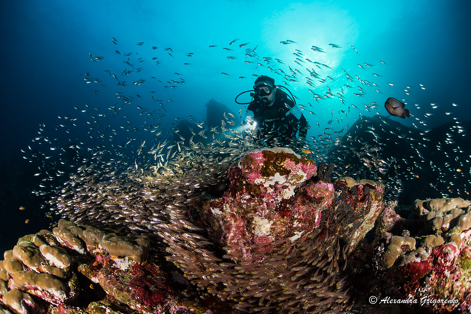 Similan Island National Park