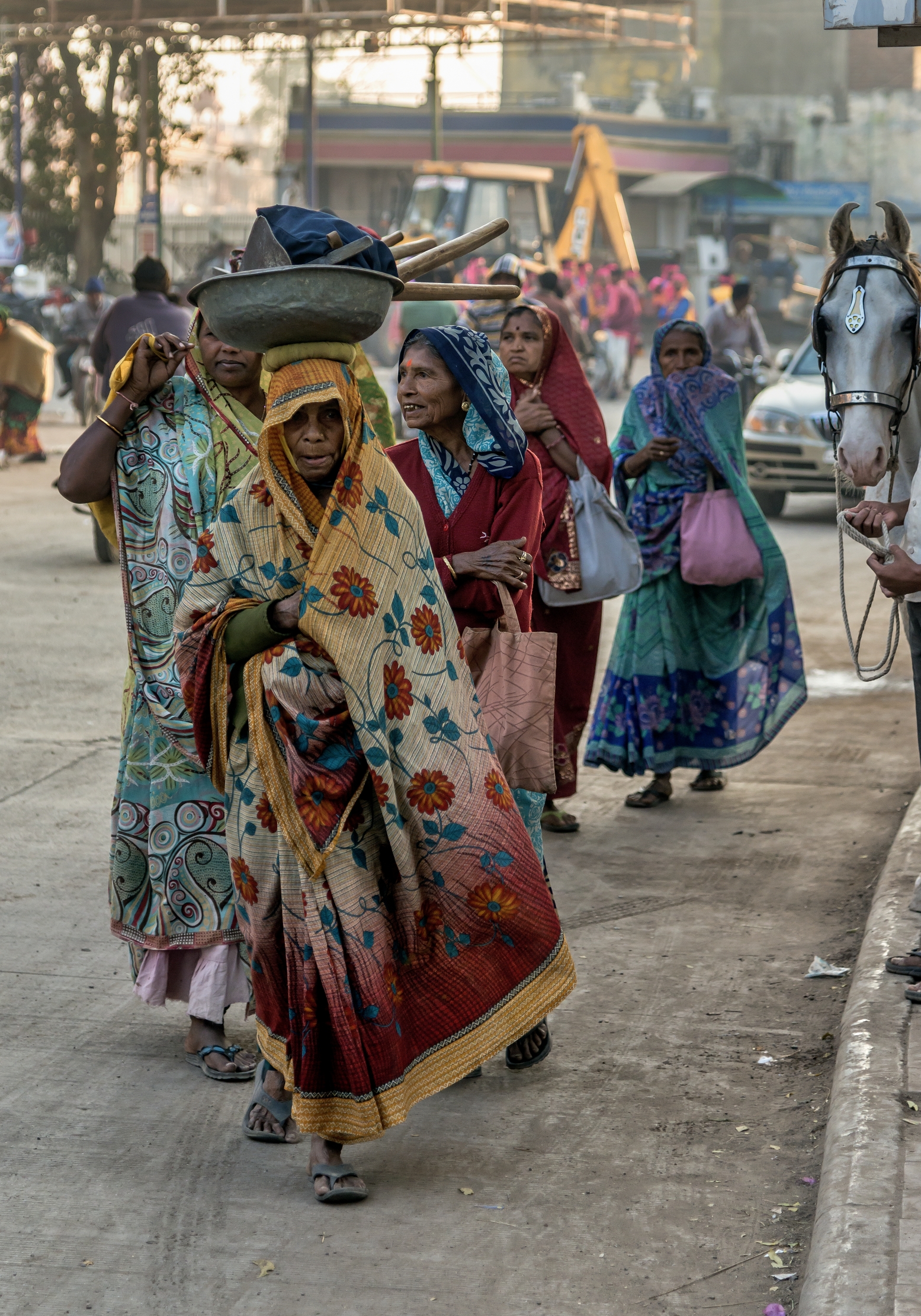 Gujarat 2015 - Pellegrine