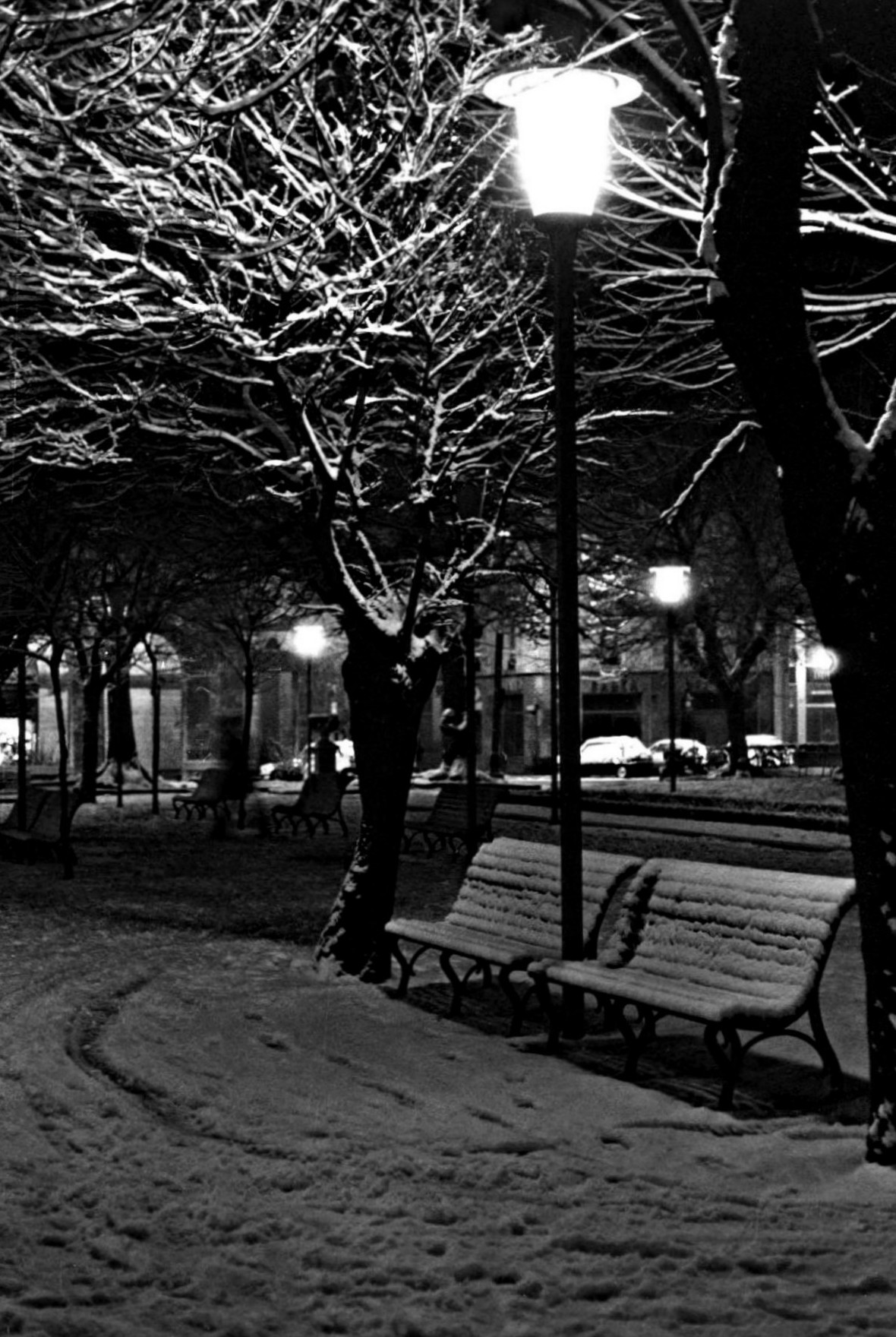 Giardini pubblici sotto la neve