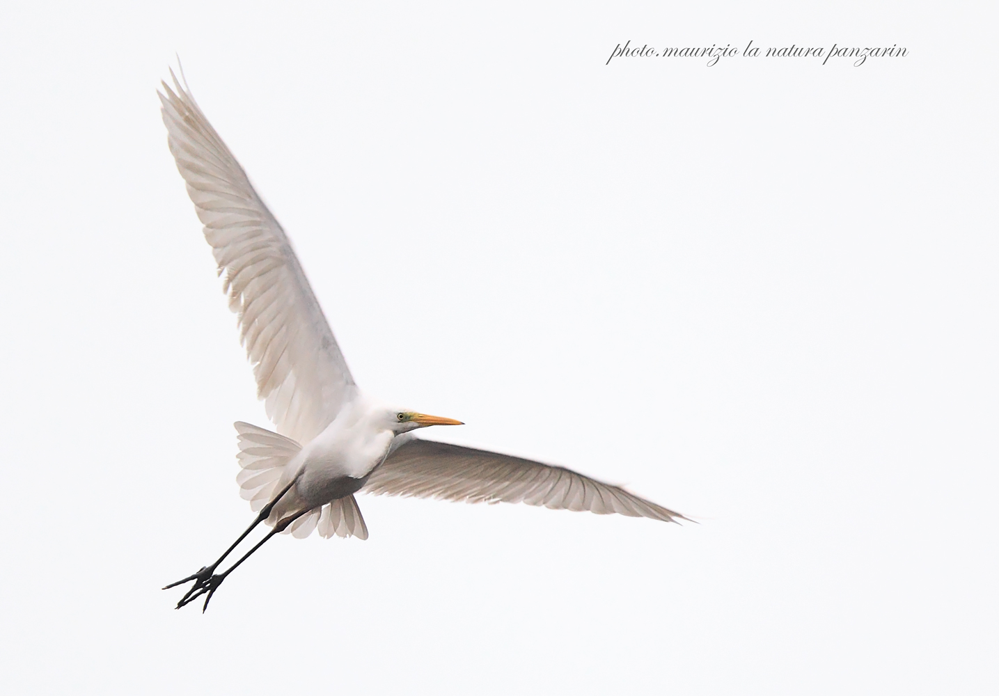 il bianco nel bianco