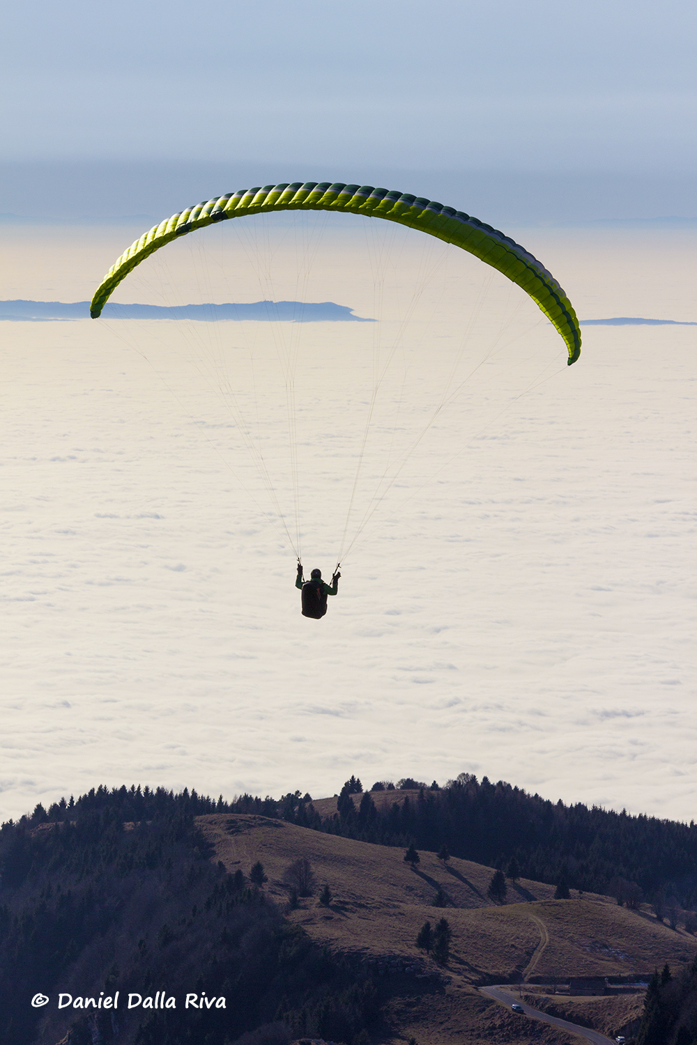 Dive into a sea of ??whipped cream