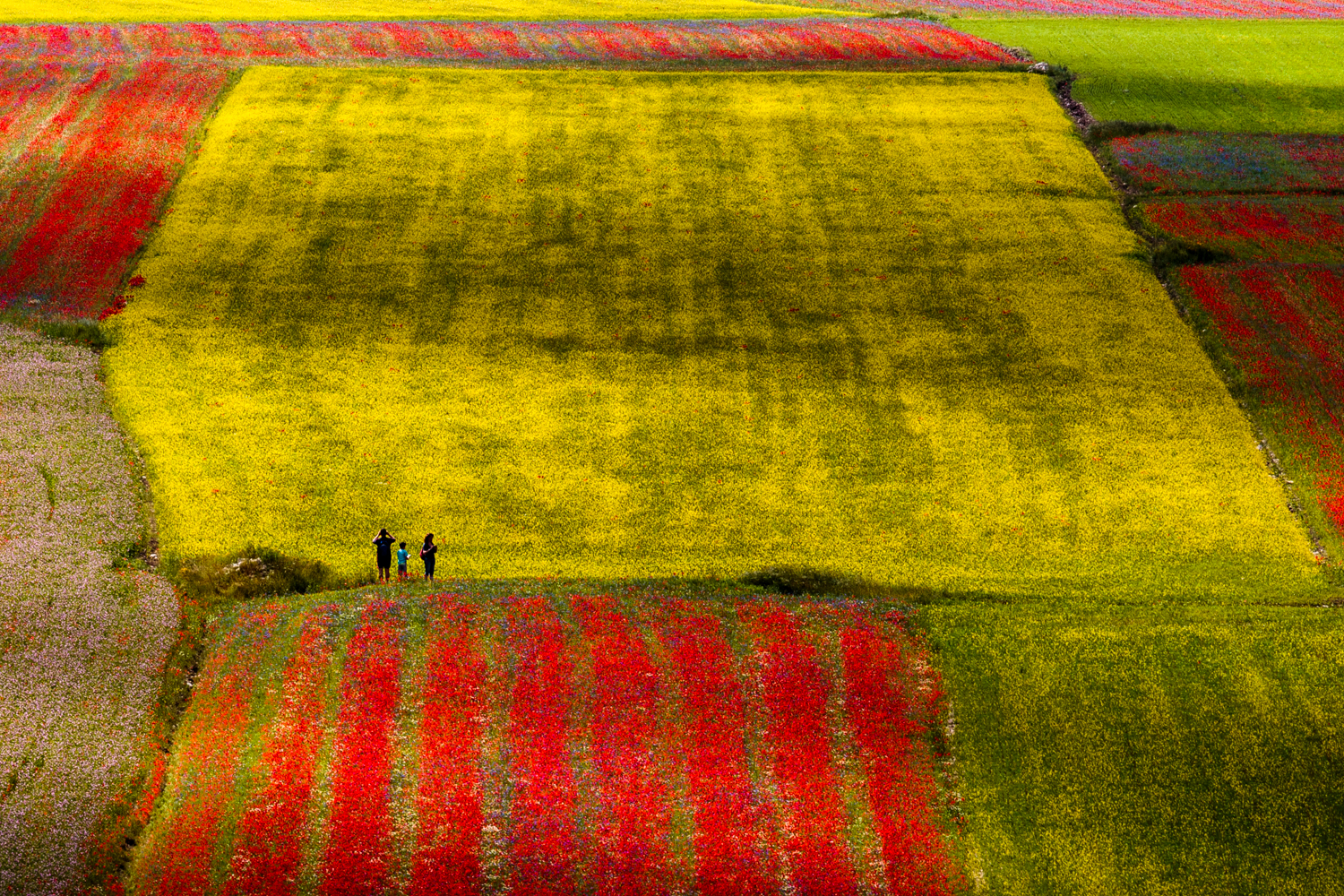 Persi in un mare di colore